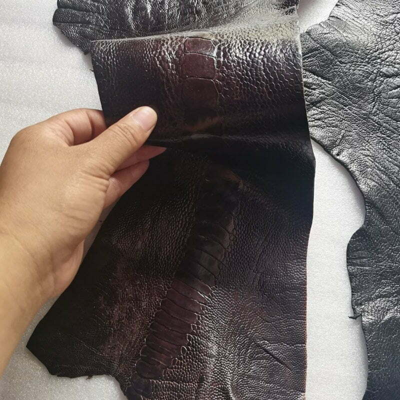 Genuine Ostrich Leather Hides