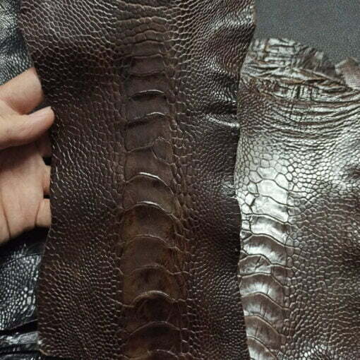 Ostrich Leather