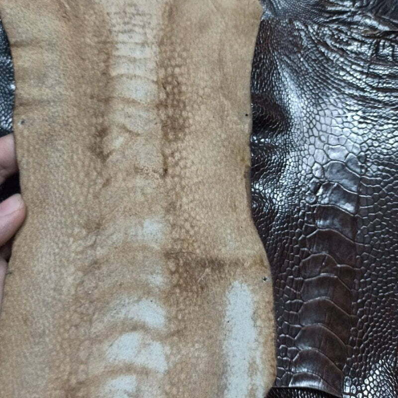 Ostrich Legs Leather Skin: Exotic Genuine Hides