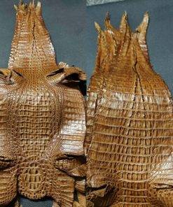 Crocodile Leather