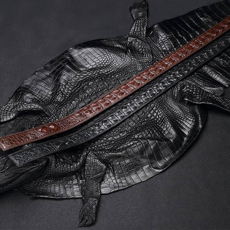 Brown and Black Alligator Belts