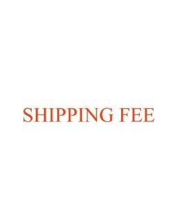 Extra Shipping Fee