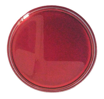 Added Product