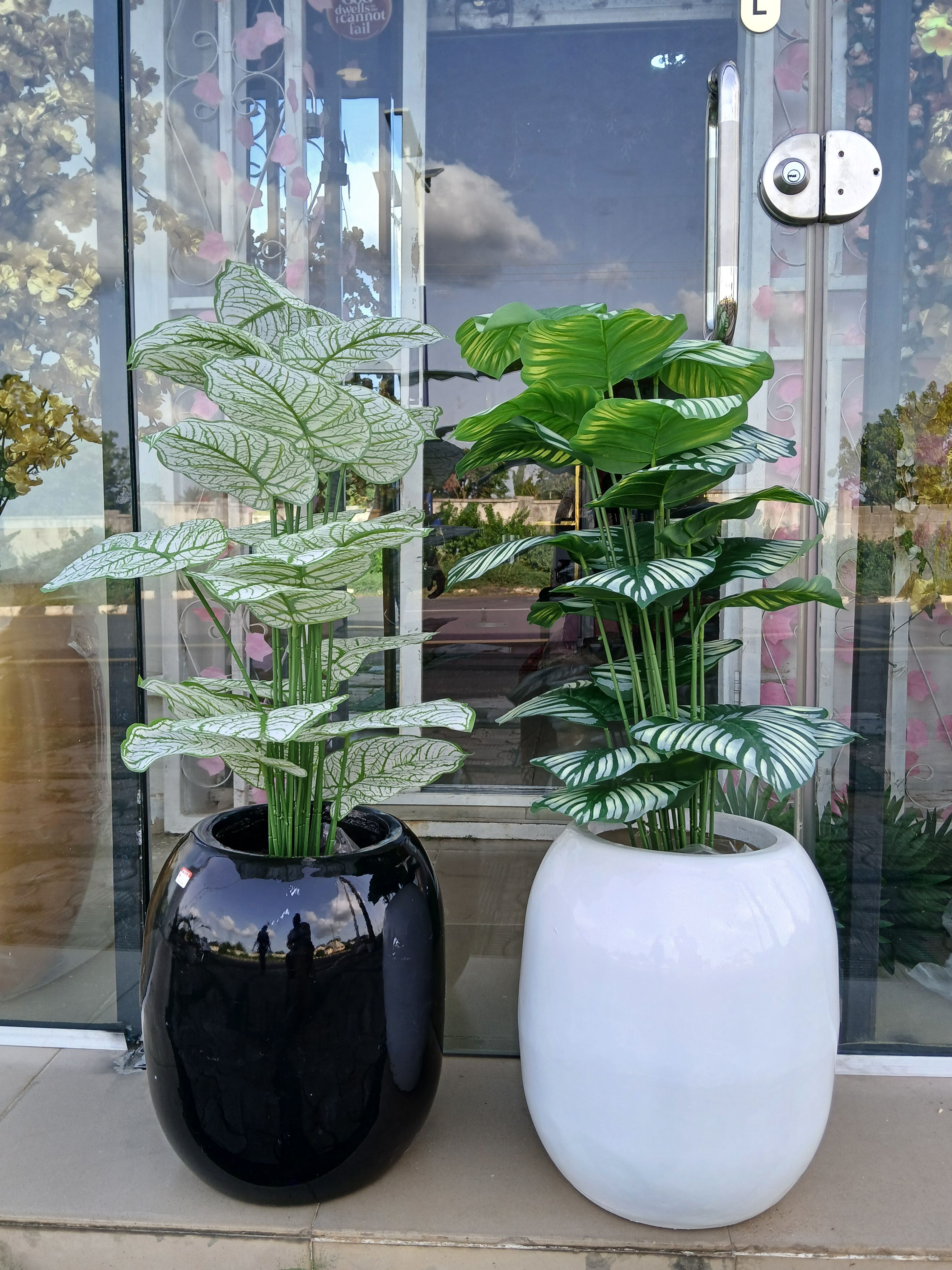 Bunch Tree In Fibre Vase Image