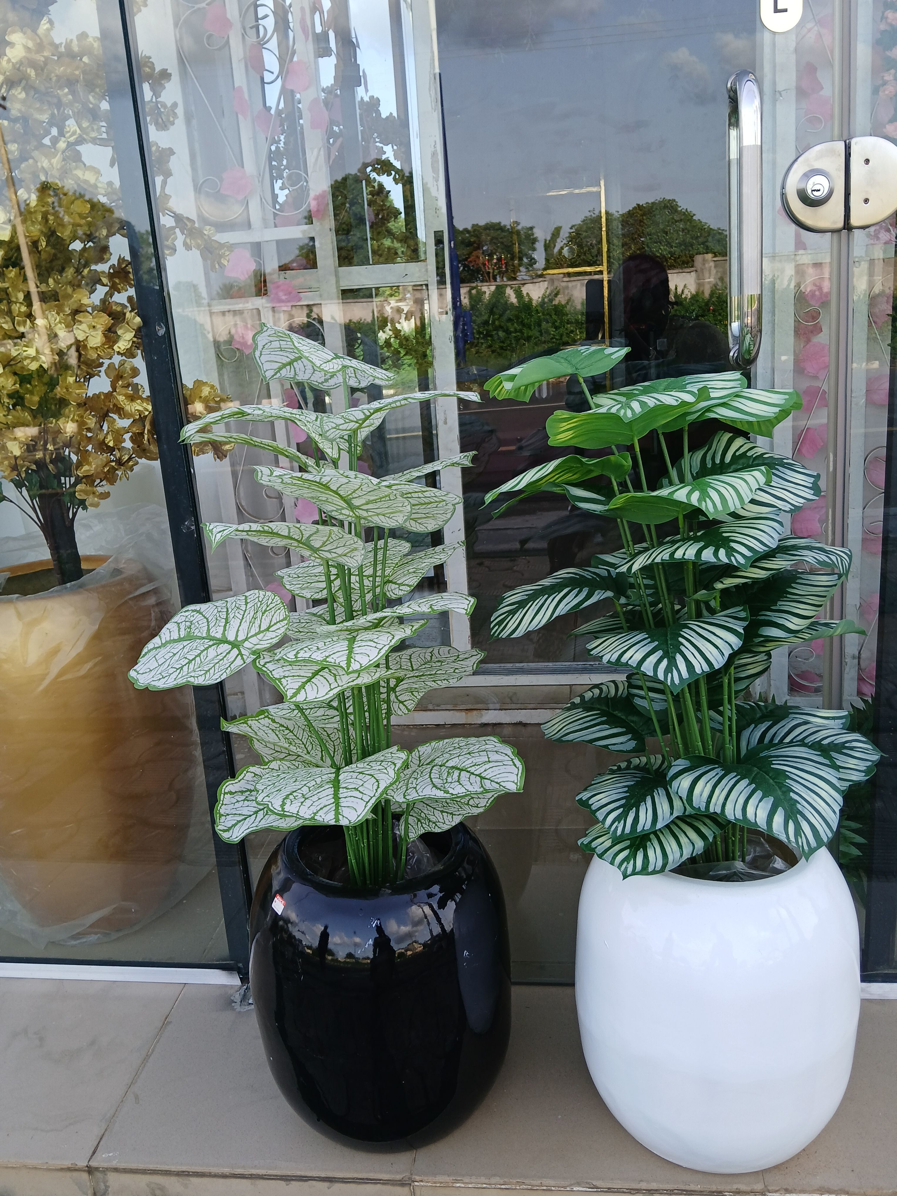 Bunch Tree In Fibre Vase Image