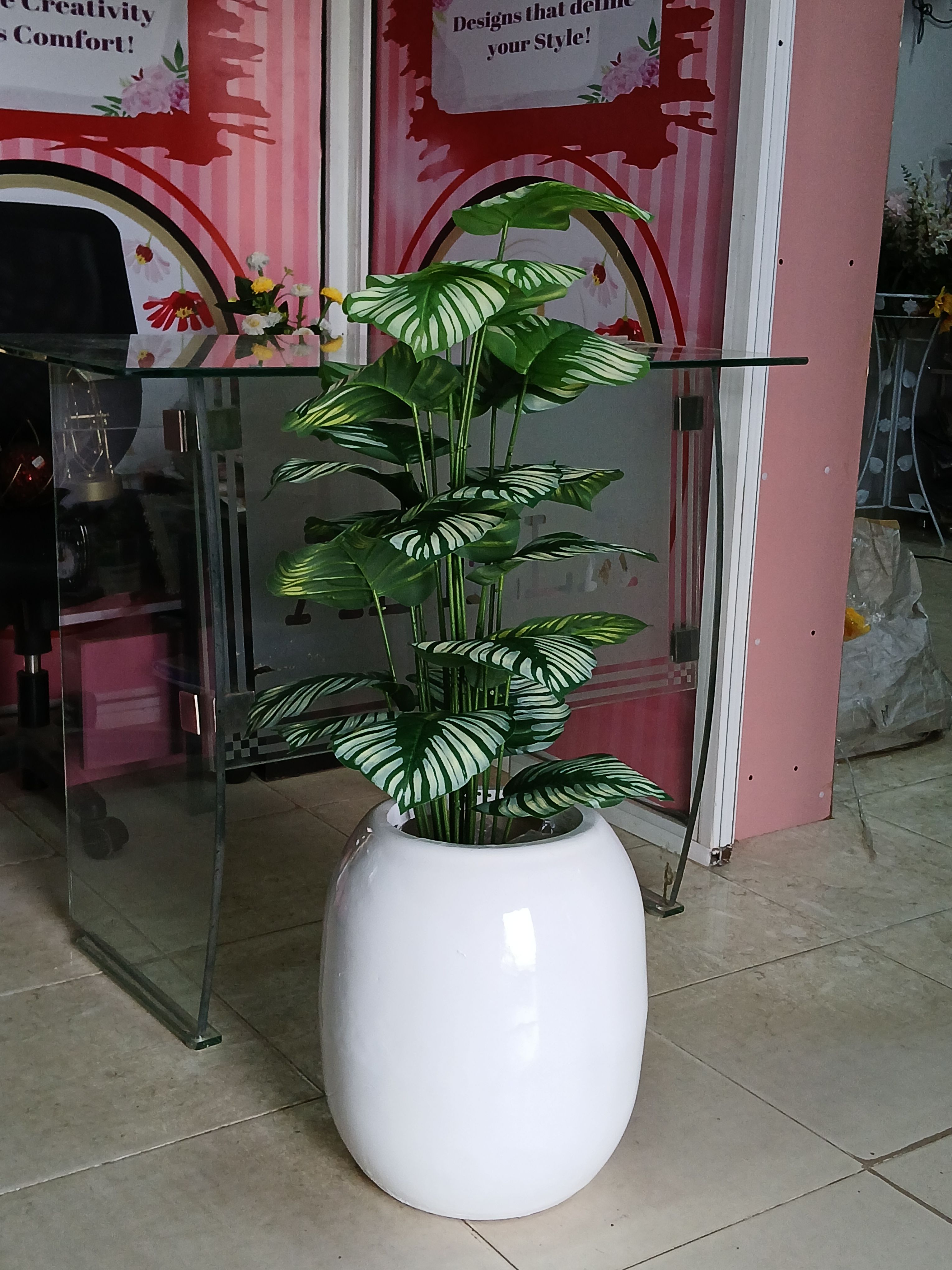 Bunch Tree In Fibre Planter Image