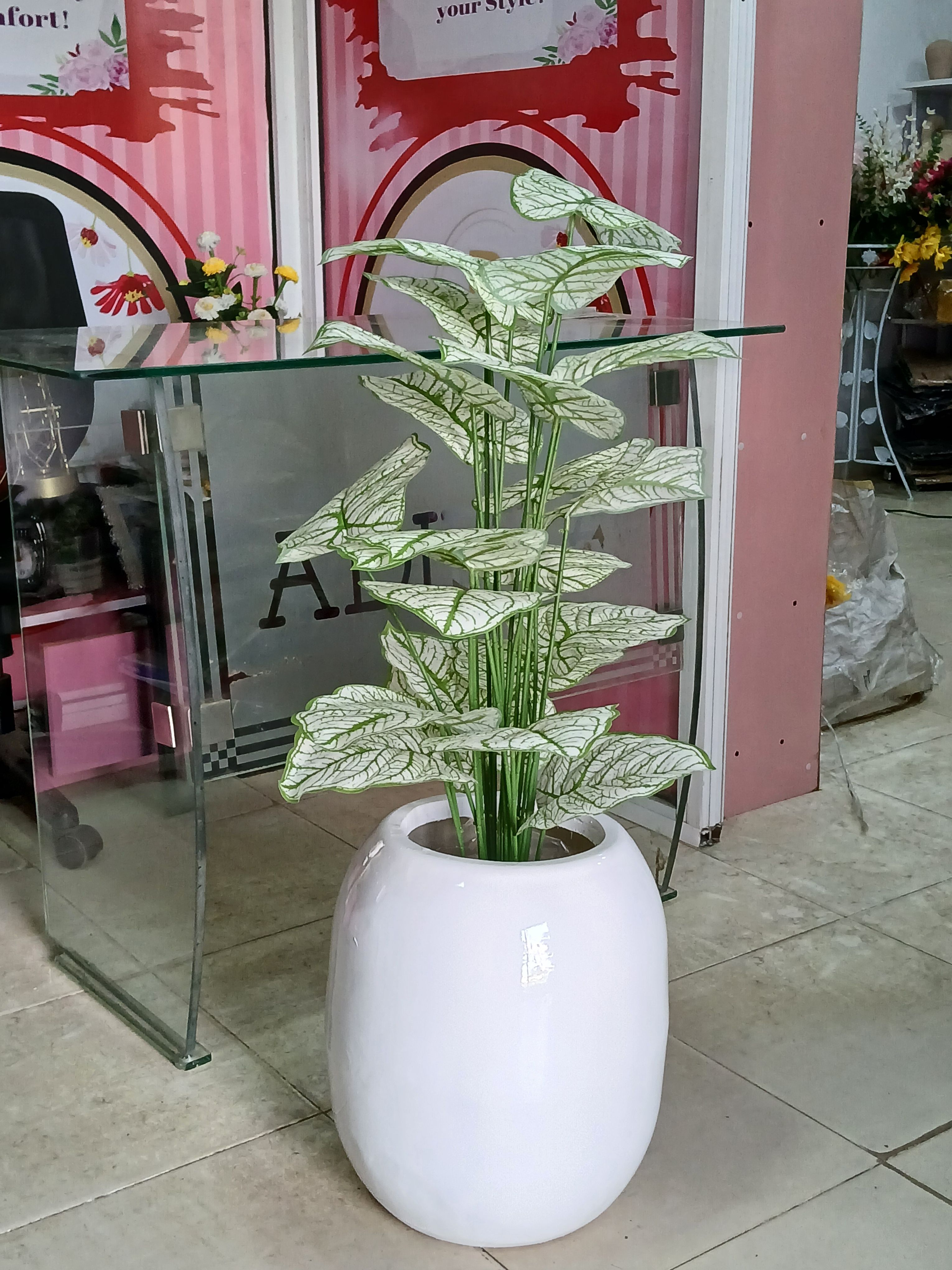 Bunch Tree In Fibre Planter Image