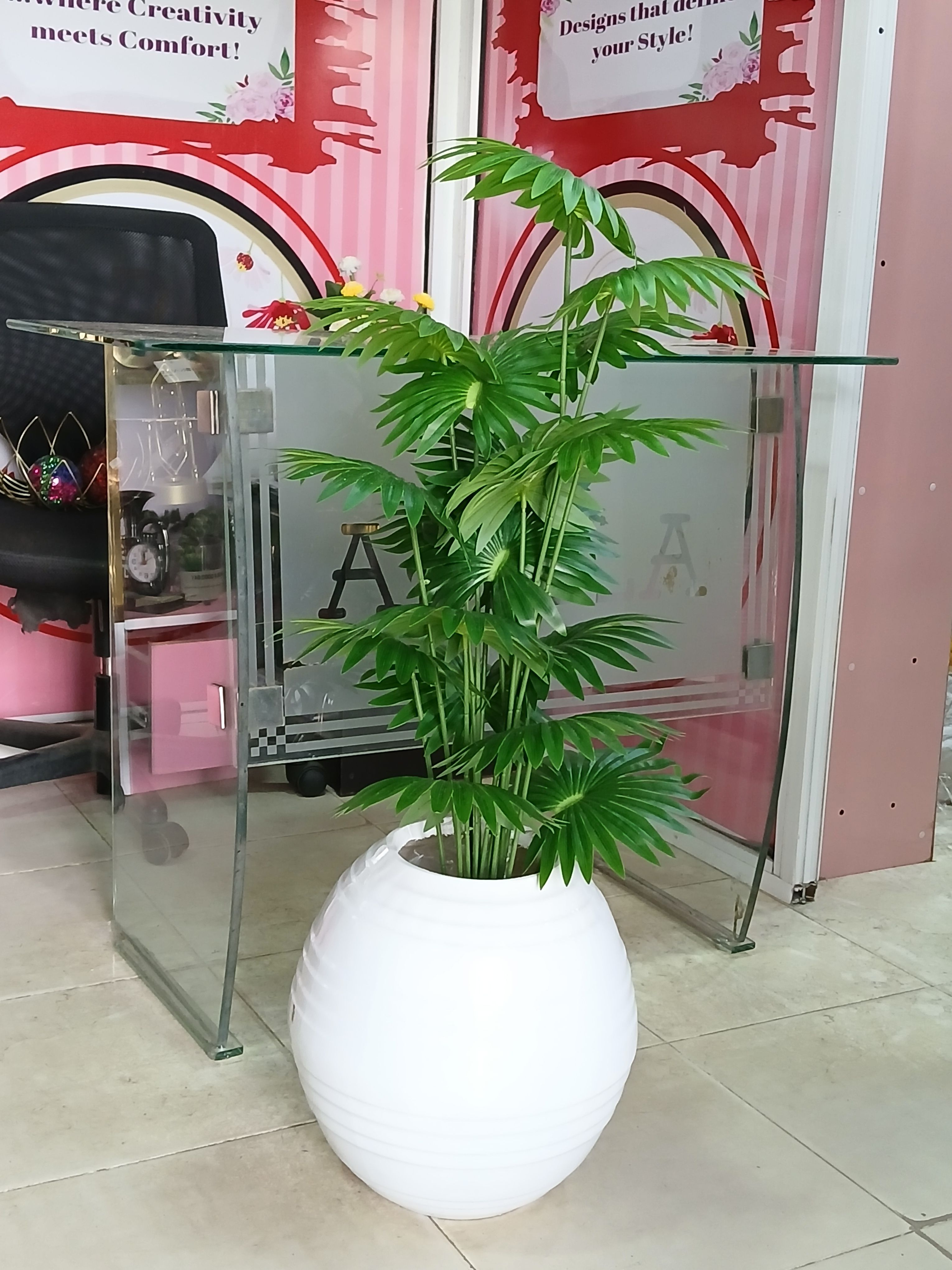 Bunch Tree In Fibre Planter Image