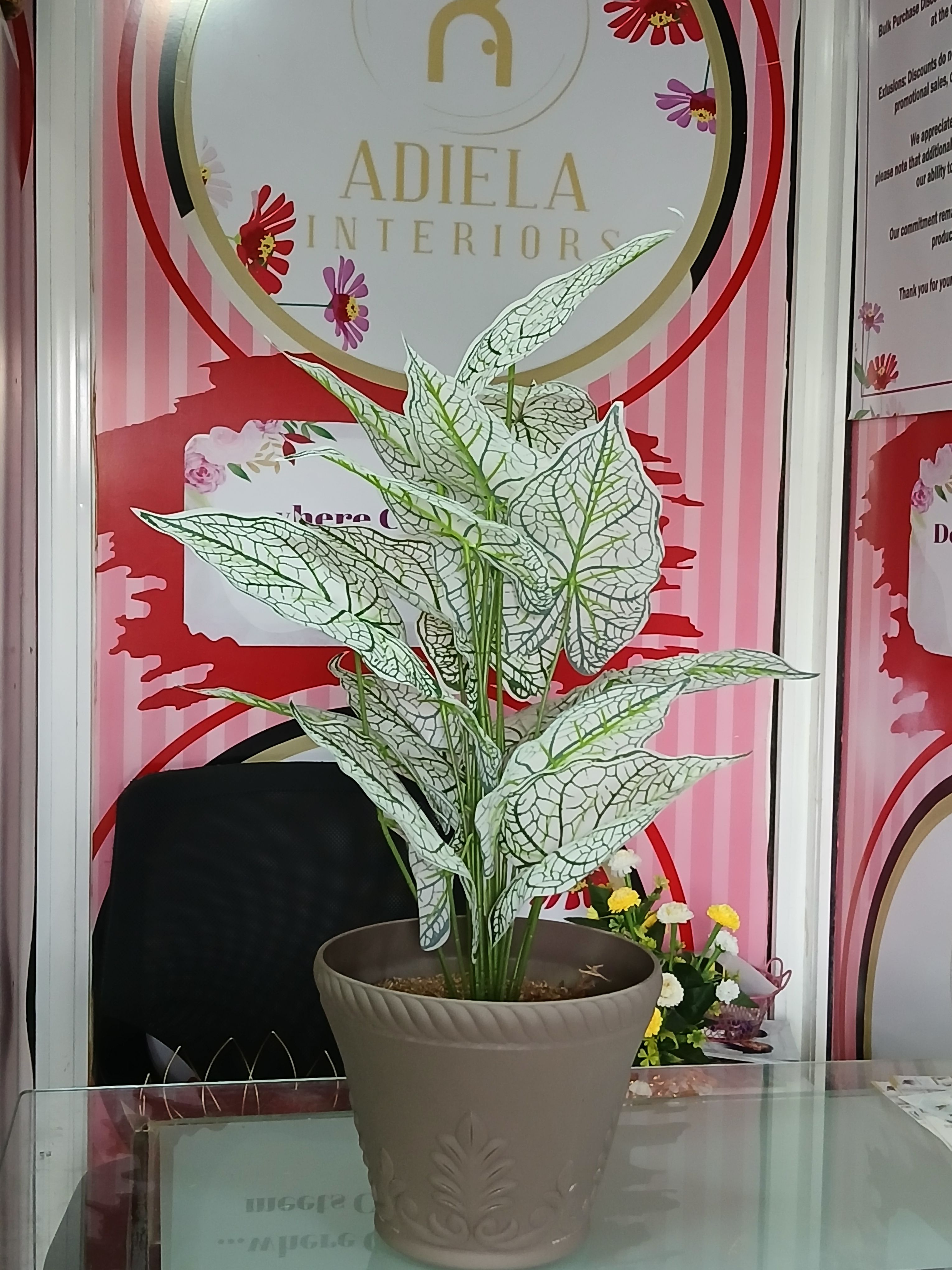 Bunch Tree In Plastic Vase Image