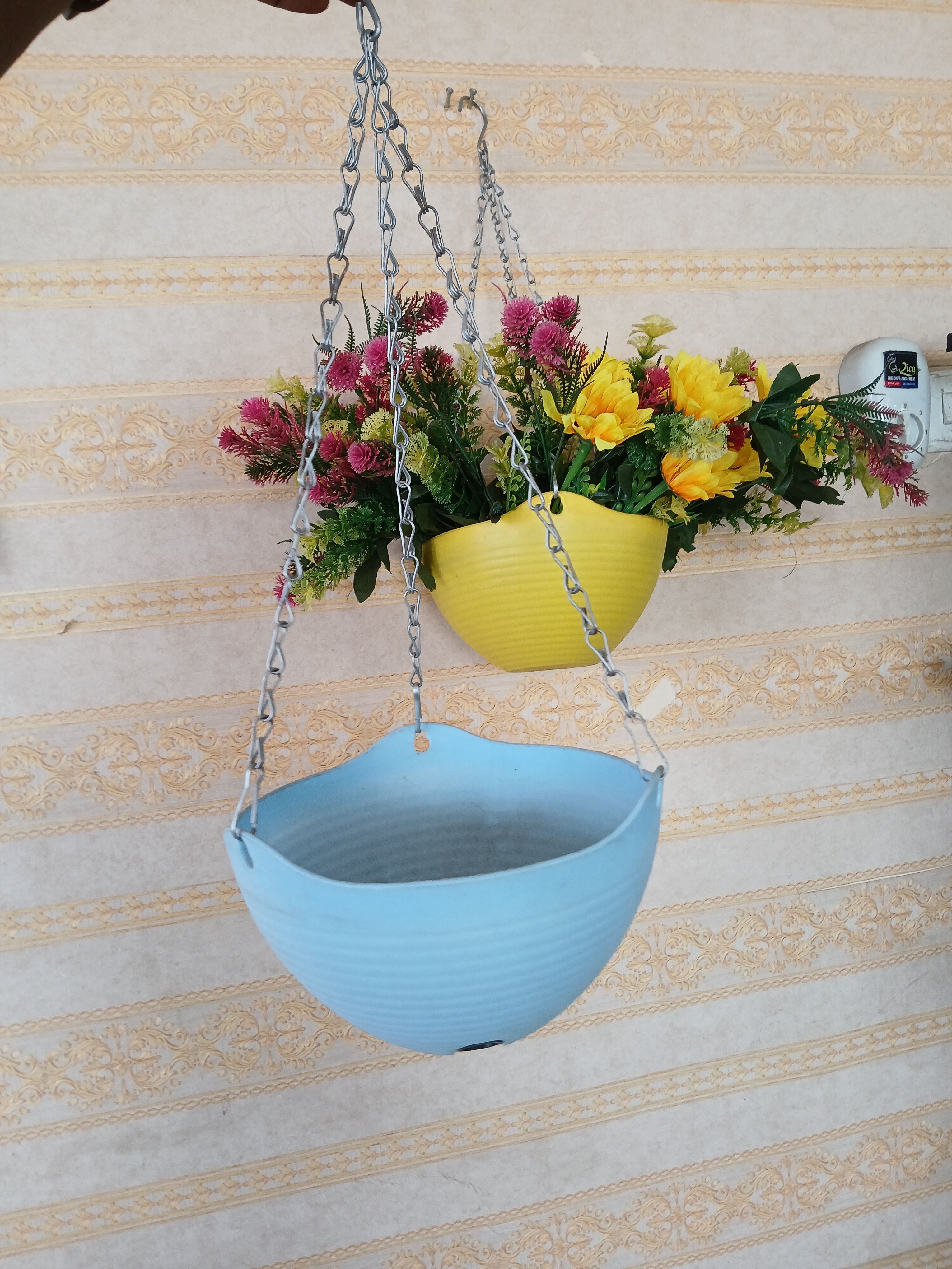 Hanging Flower Basket Image