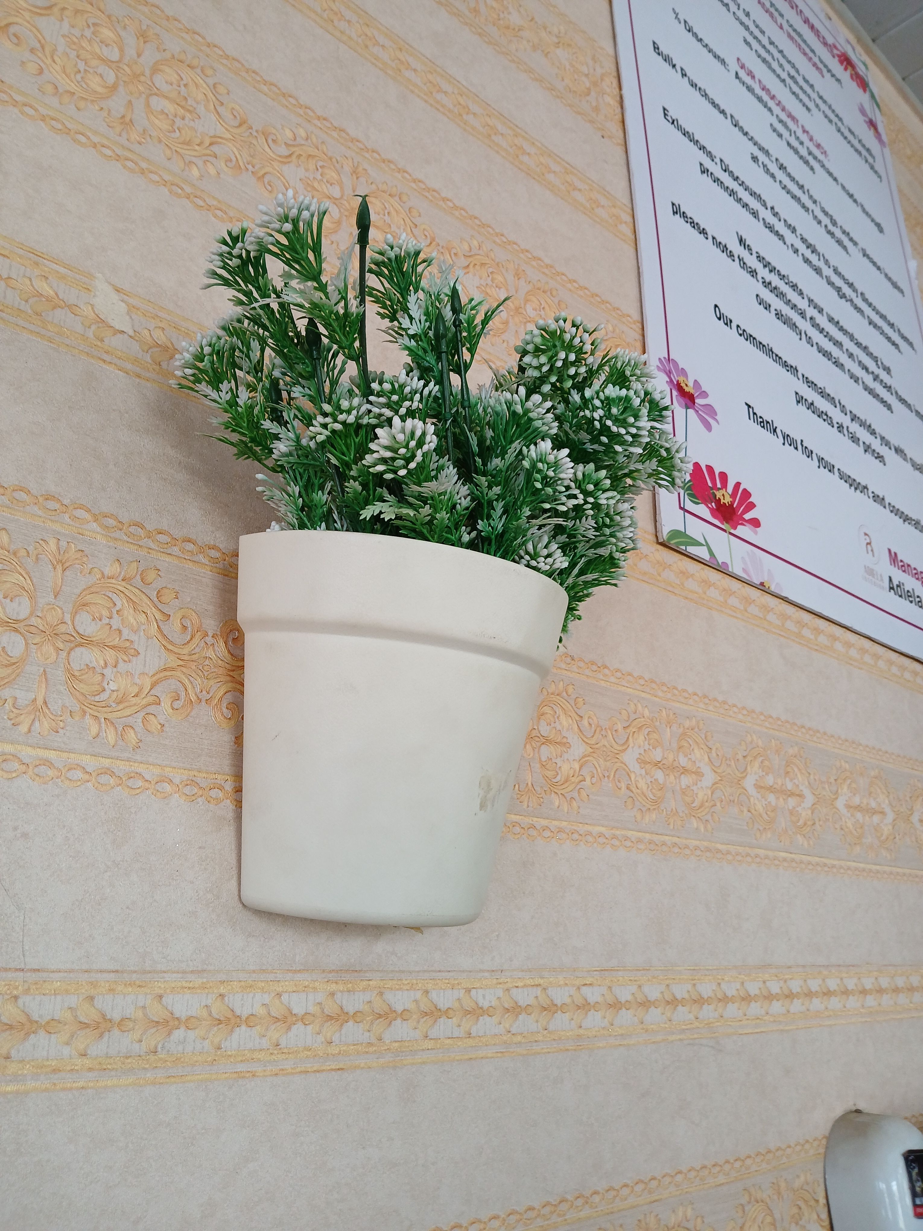 Wall Hanging Planters Image