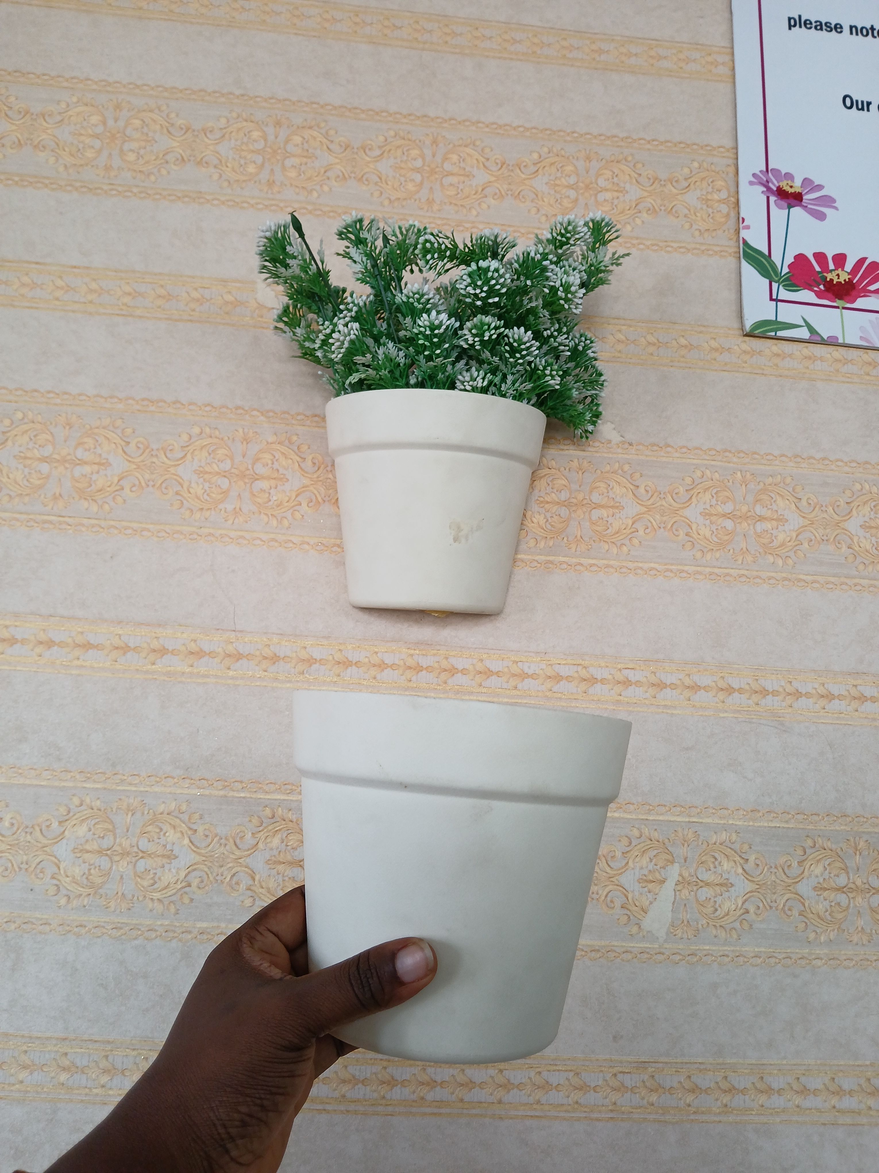 Wall Hanging Planters Image