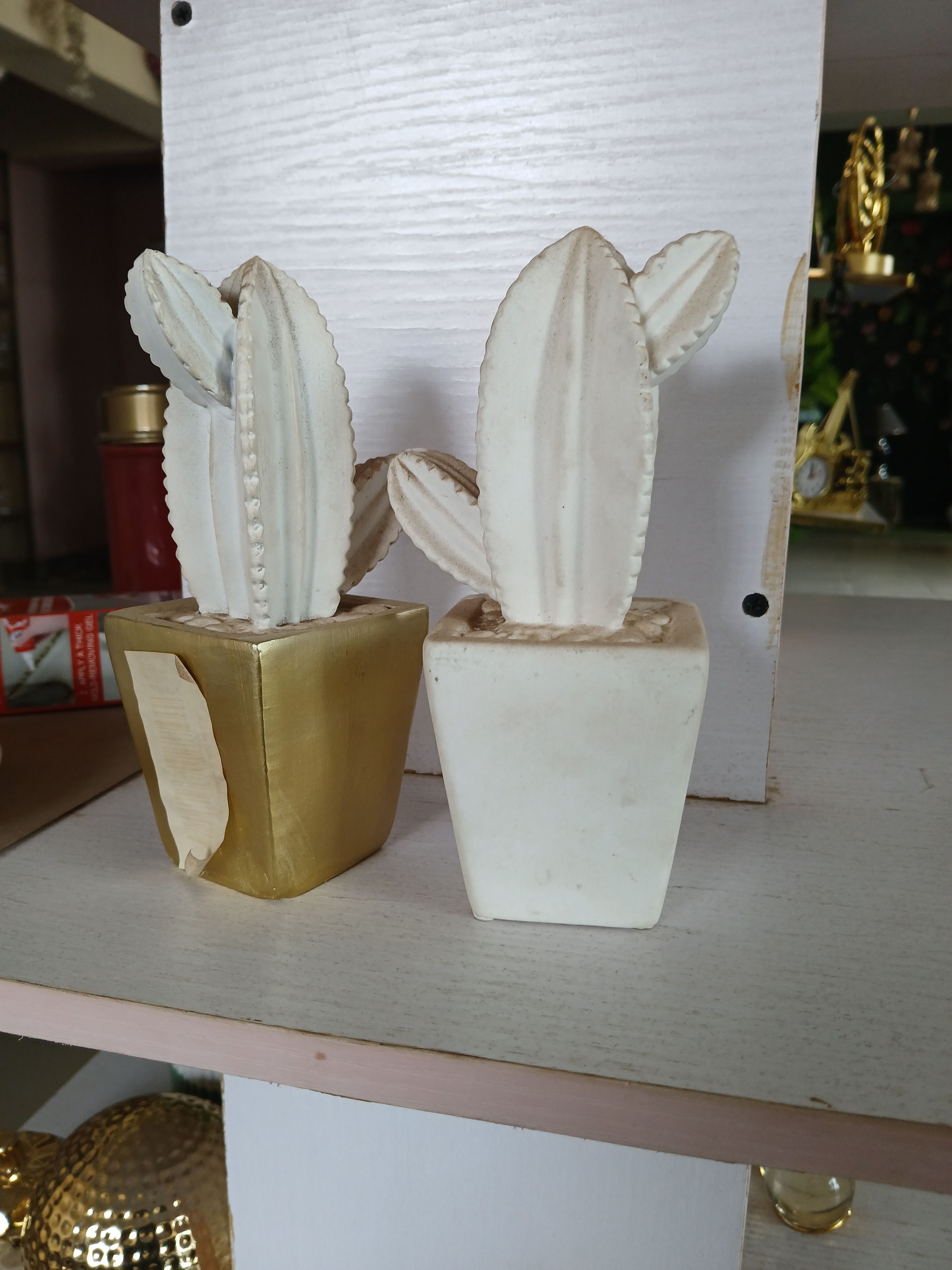 Cactus Decor Image