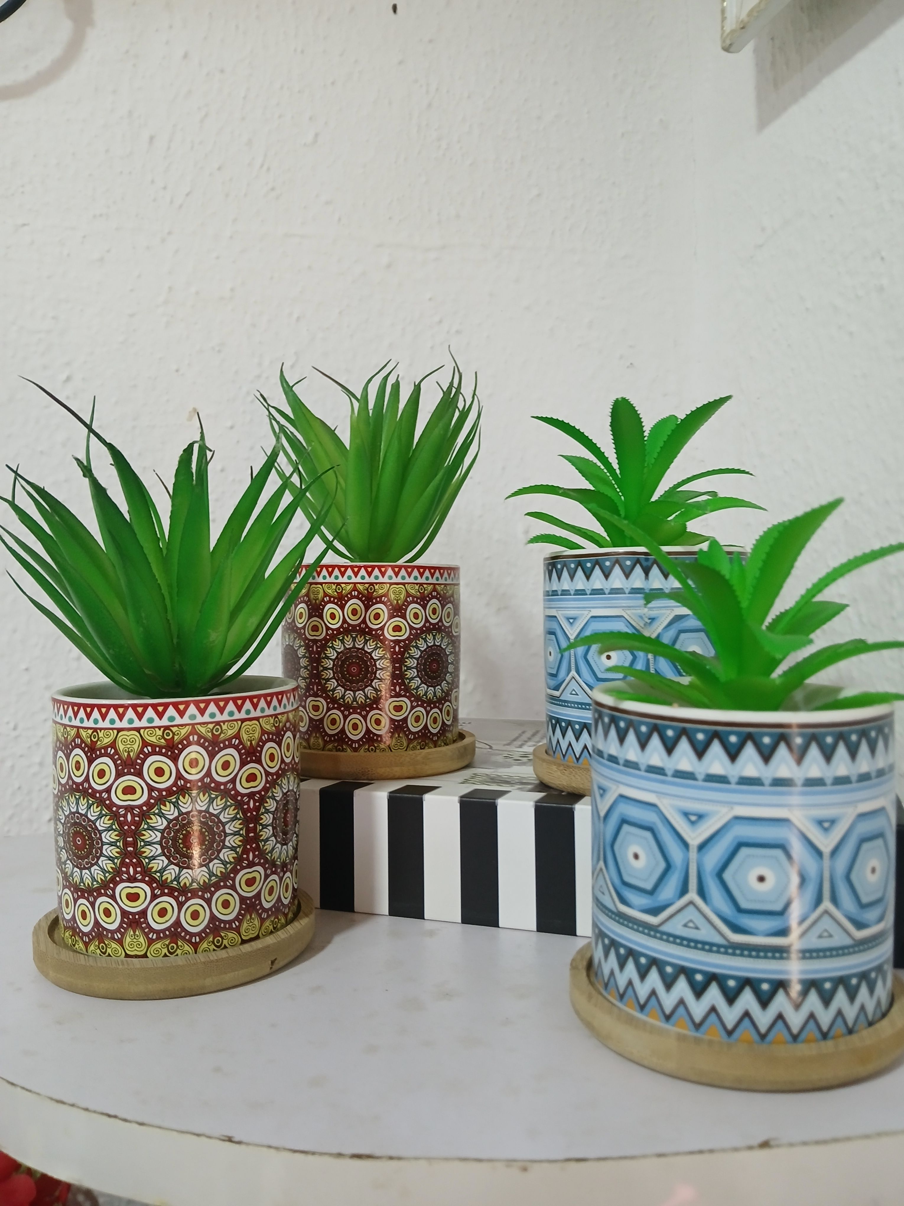 Trybe Potted Flower Image
