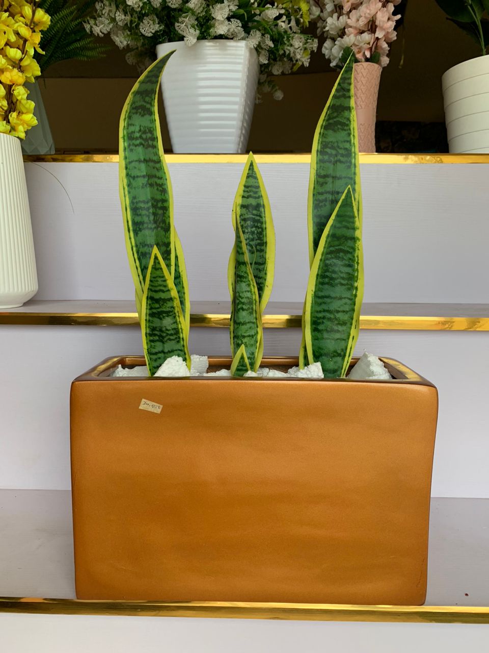 Artificial plant and Planter Image