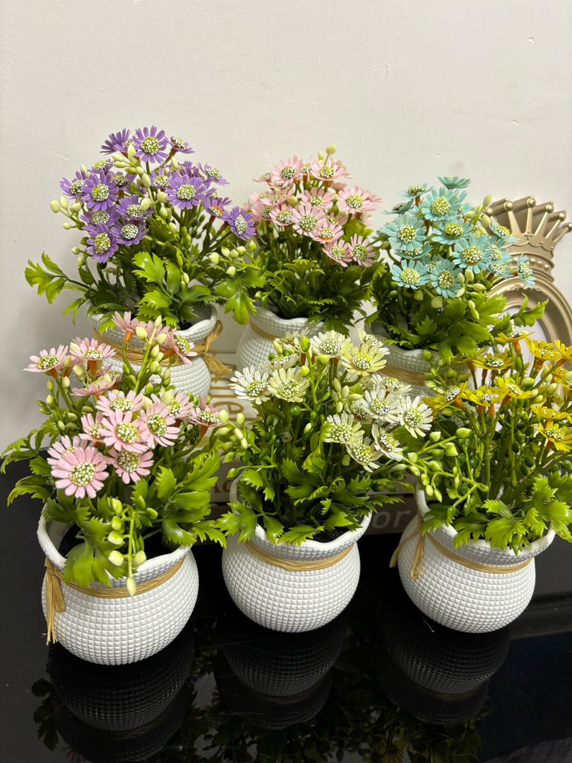 Potted Flower Vase Image