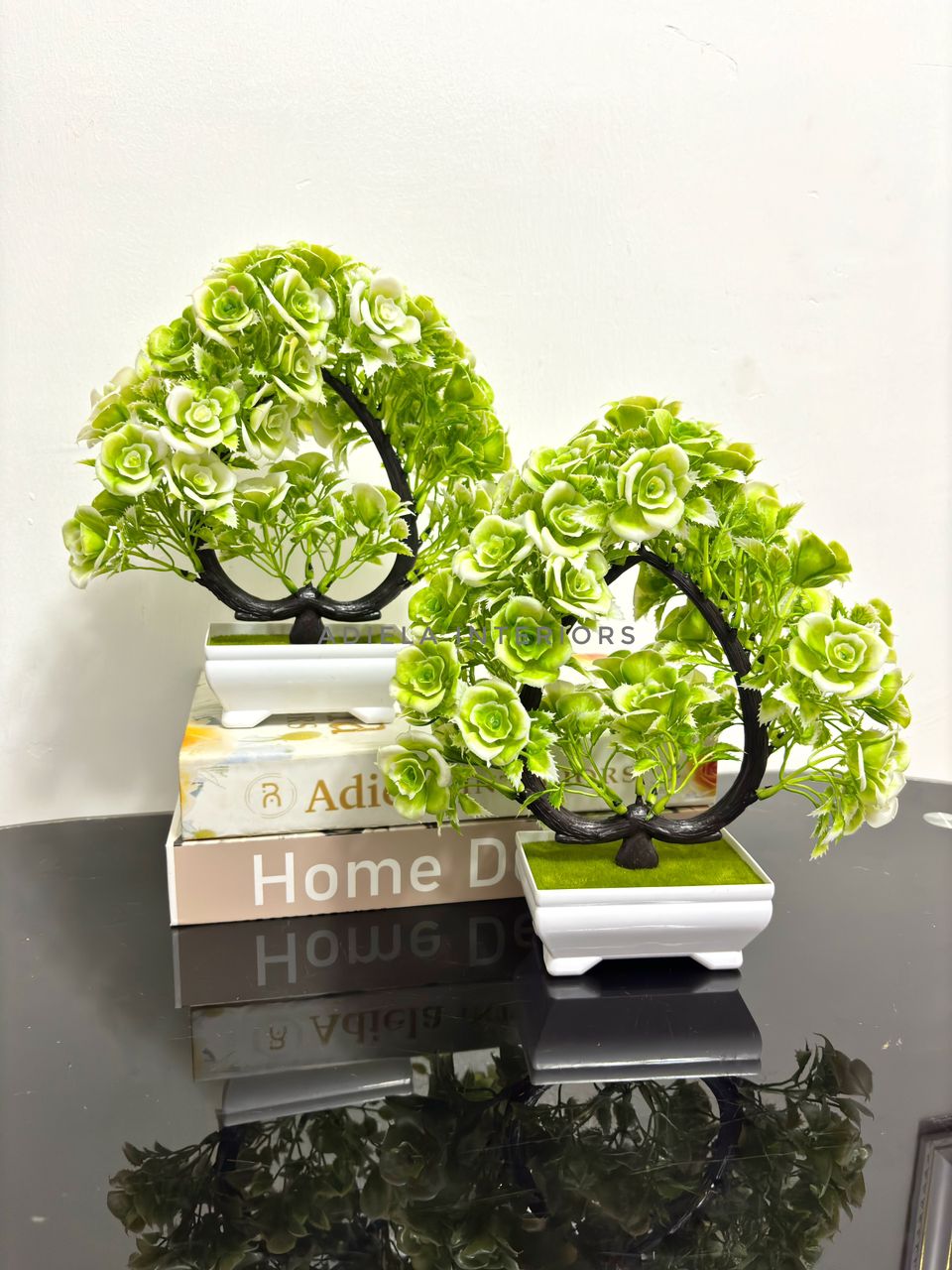 Potted Bonsai Tree Image