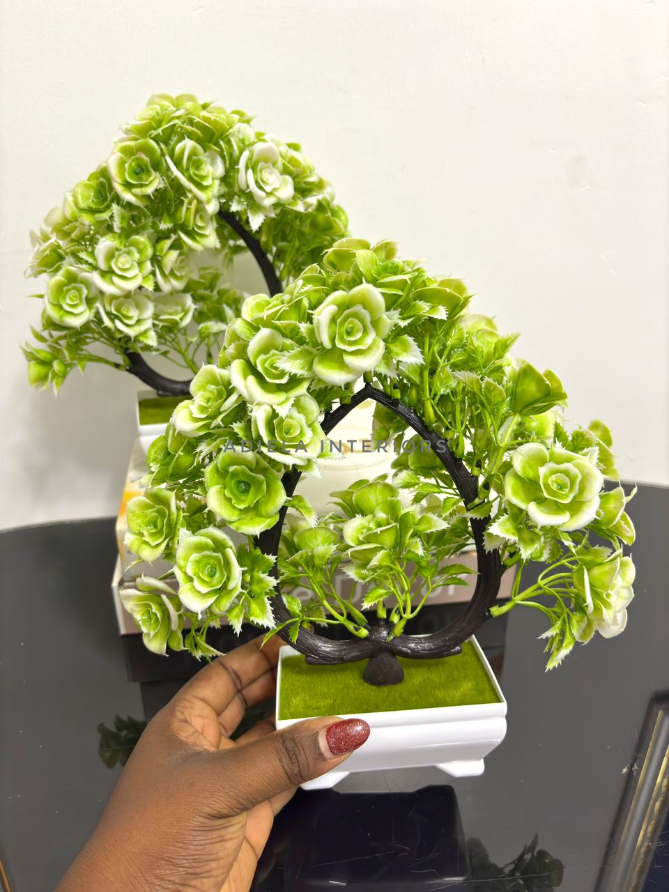 Potted Bonsai Tree Image