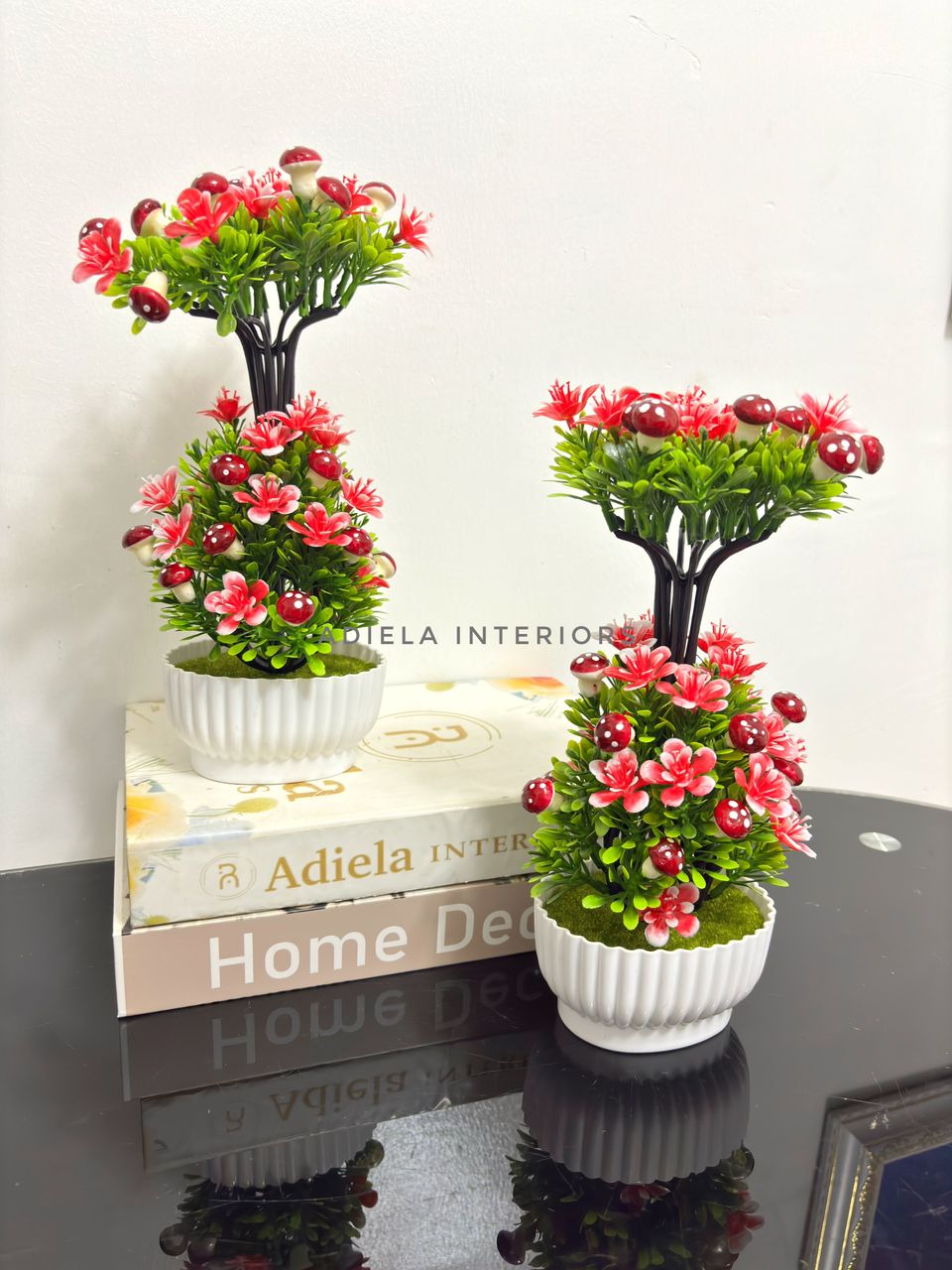 Potted Bonsai Tree Image