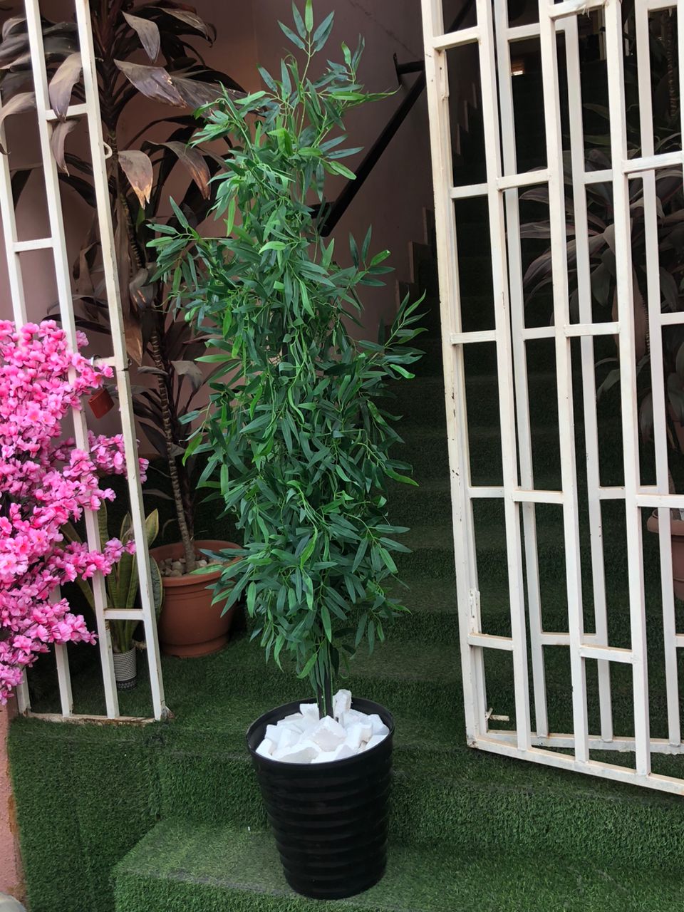 Artificial Bamboo Tree In Plastic planter Image