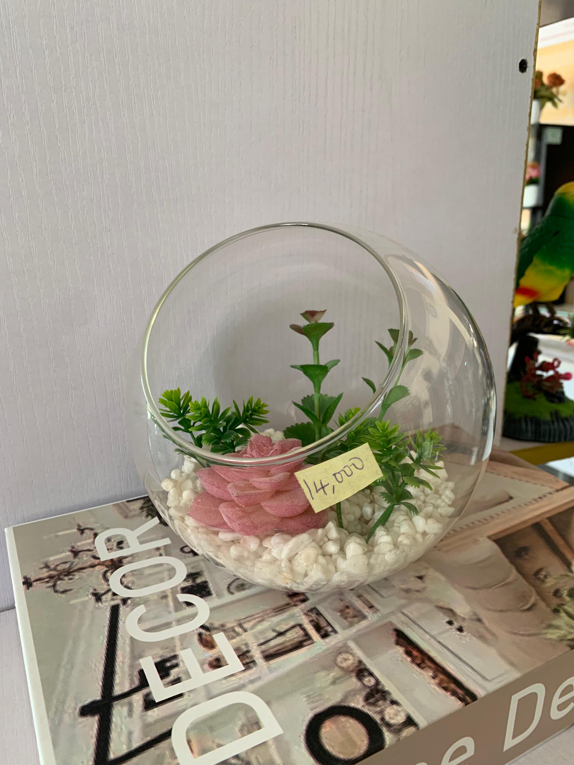 Faux succulents flower vase in glass Fish Bowl Image