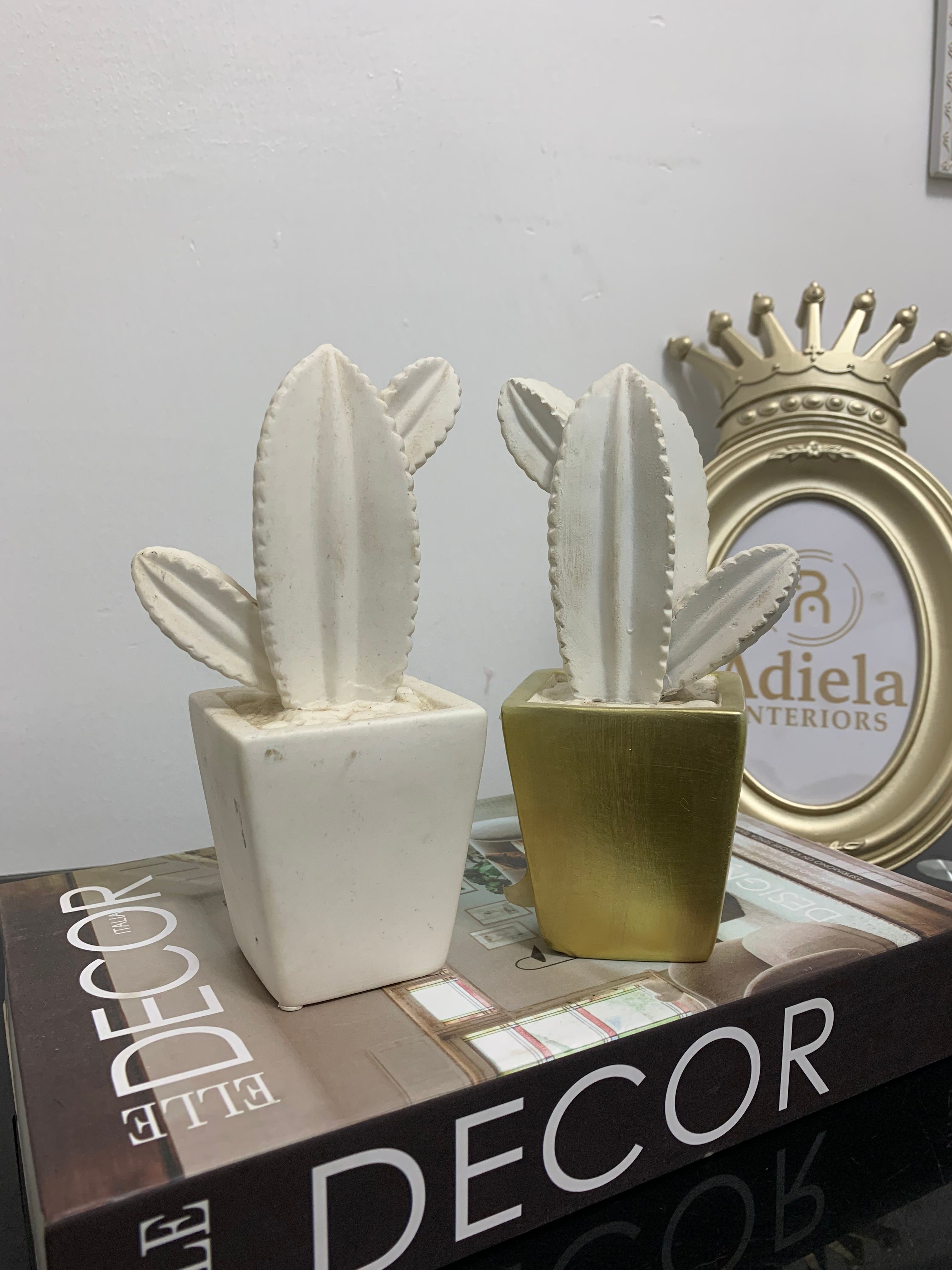 2 Pcs Mini Decorative Cacti Image