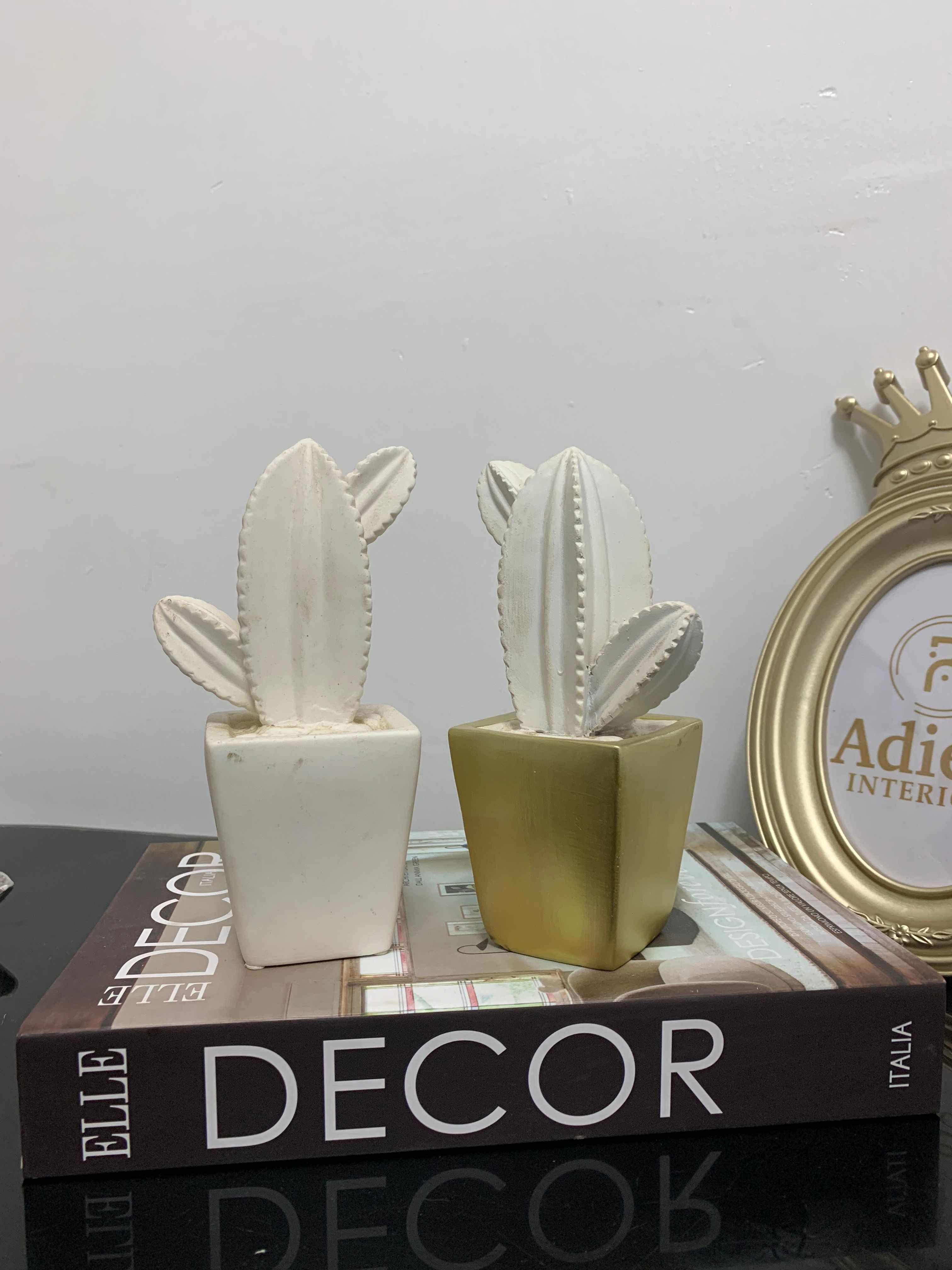 2 Pcs Mini Decorative Cacti Image