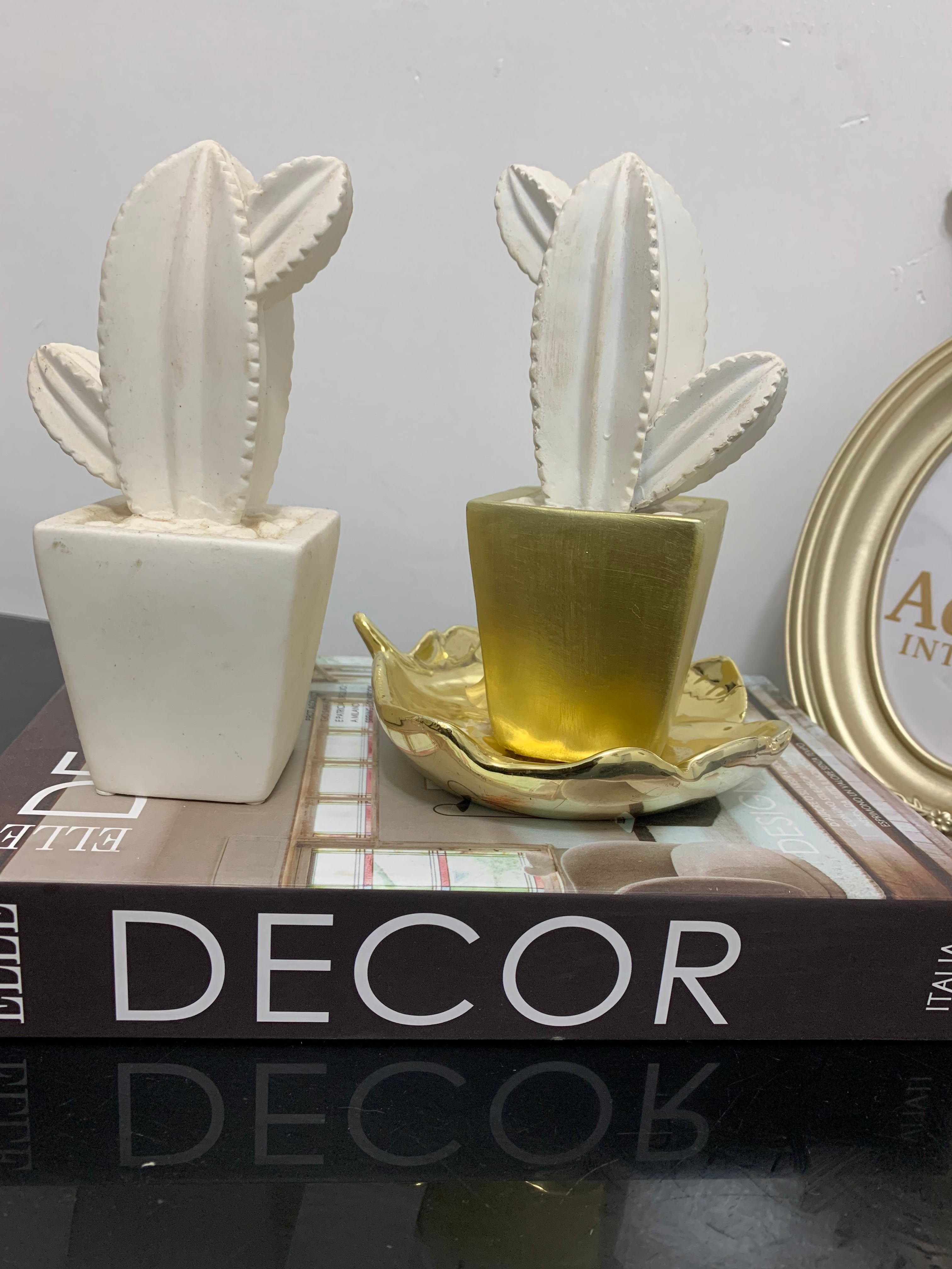 2 Pcs Mini Decorative Cacti Image