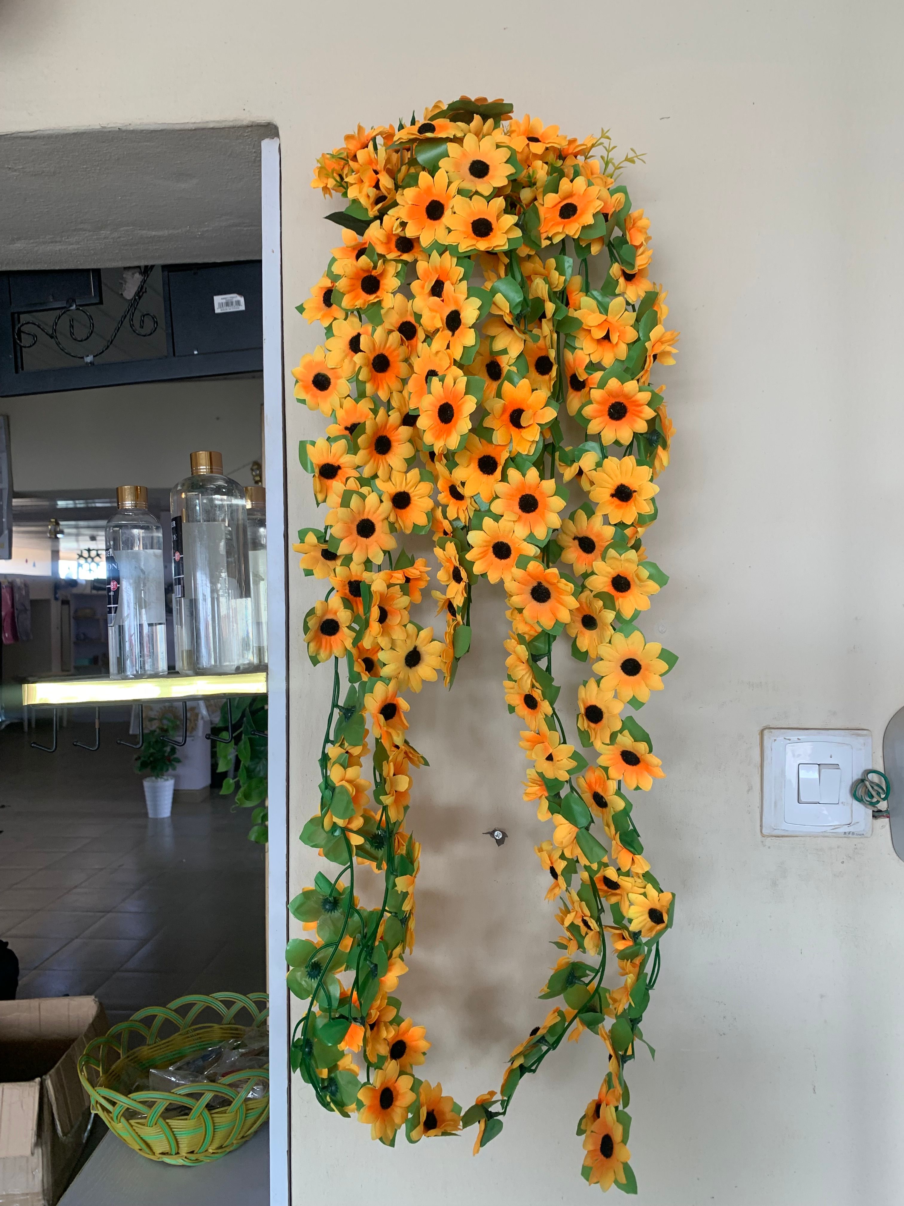 Dropping sunflowers in plastic wall vase Image