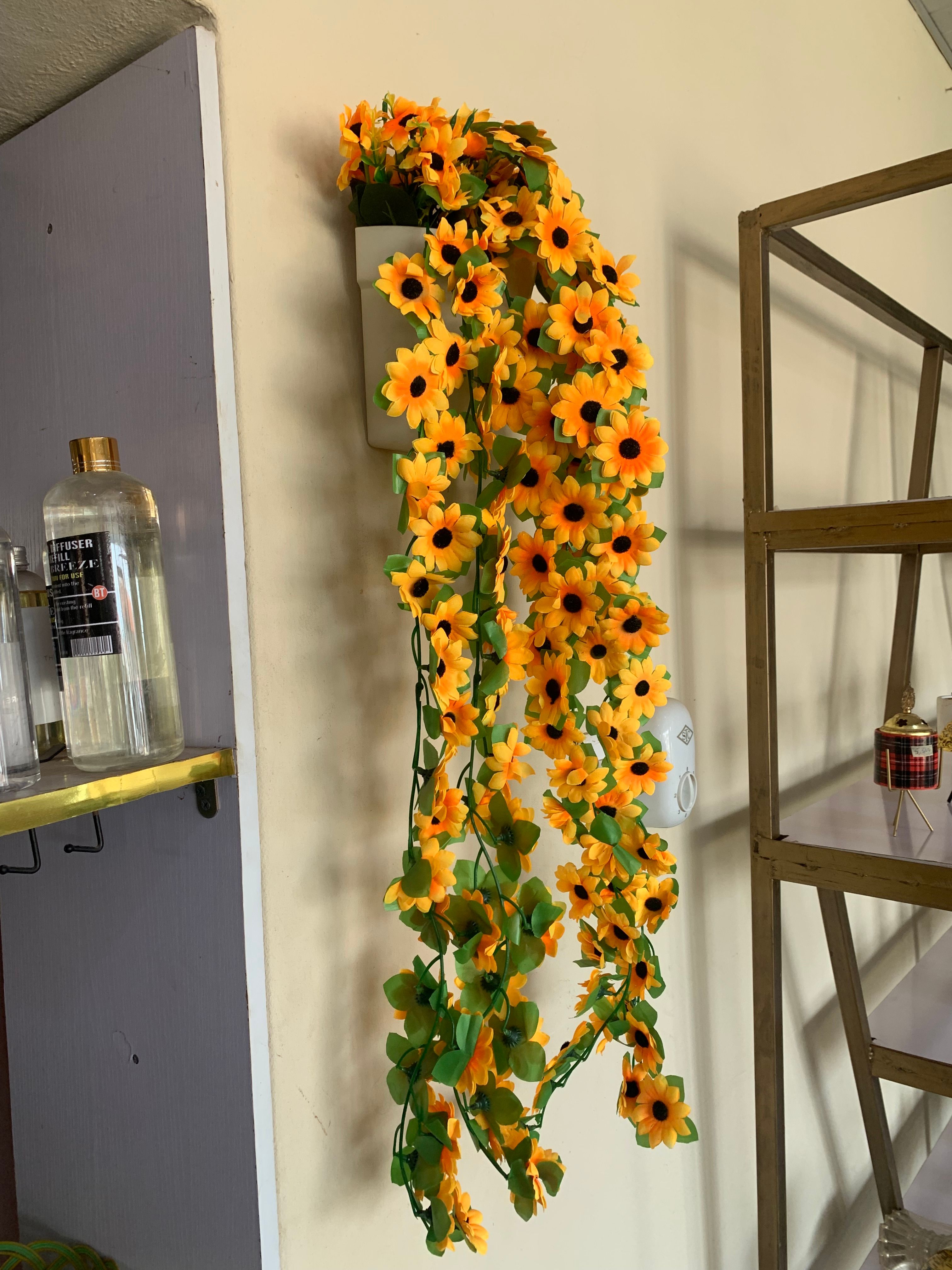 Dropping sunflowers in plastic wall vase Image