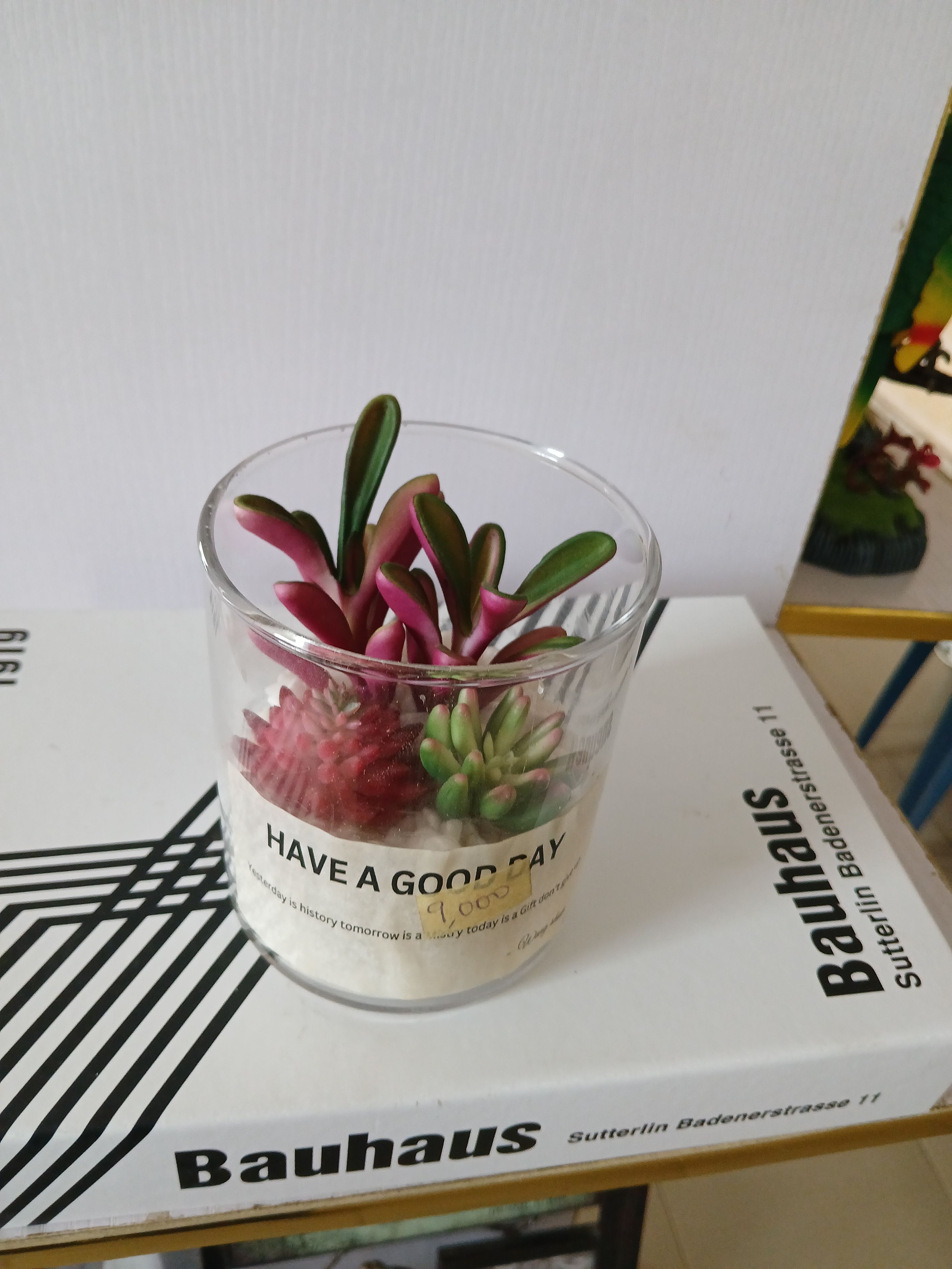 Faux Succulents in Glass Jar Image