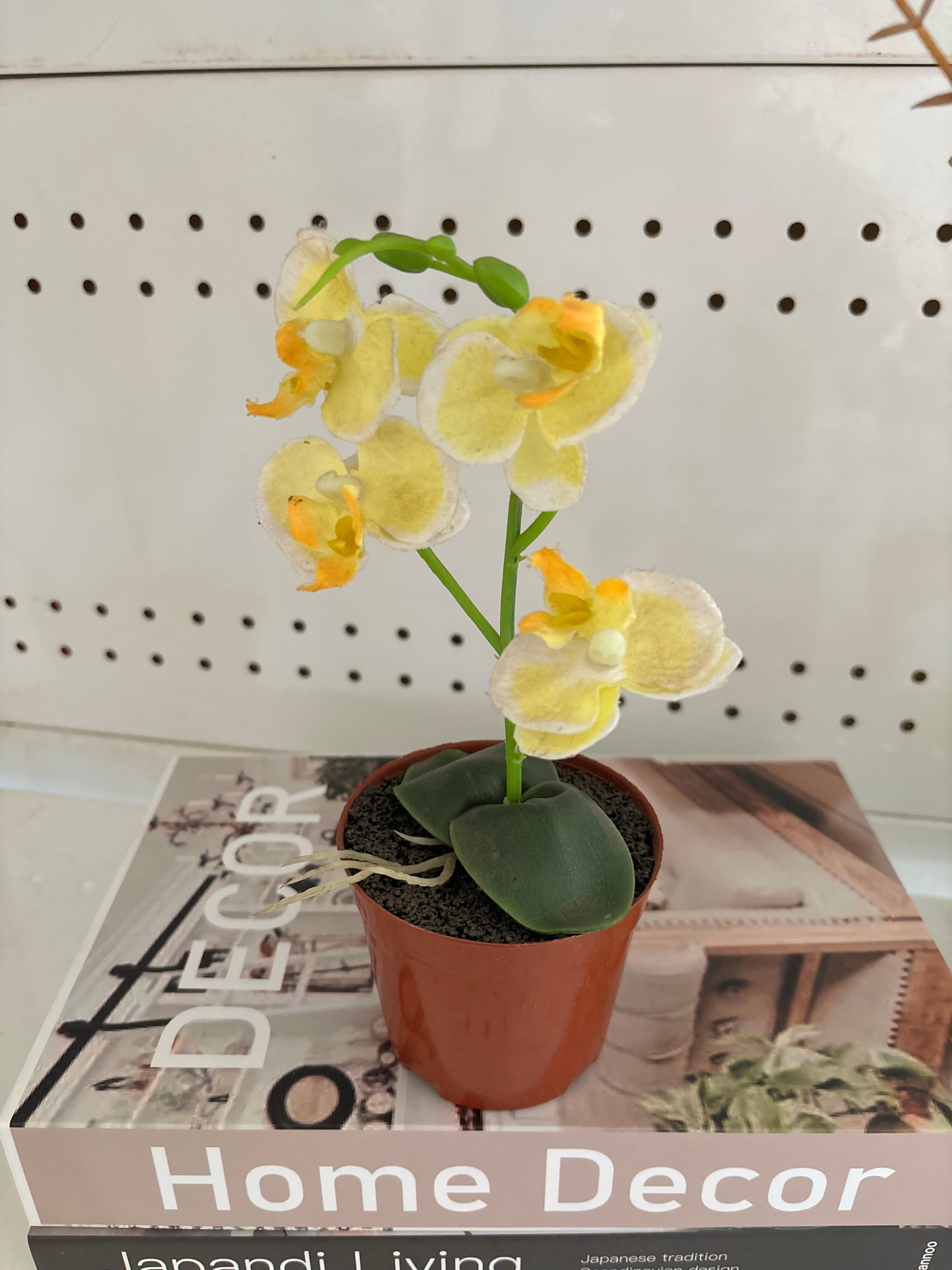 Potted Flower Vase Image