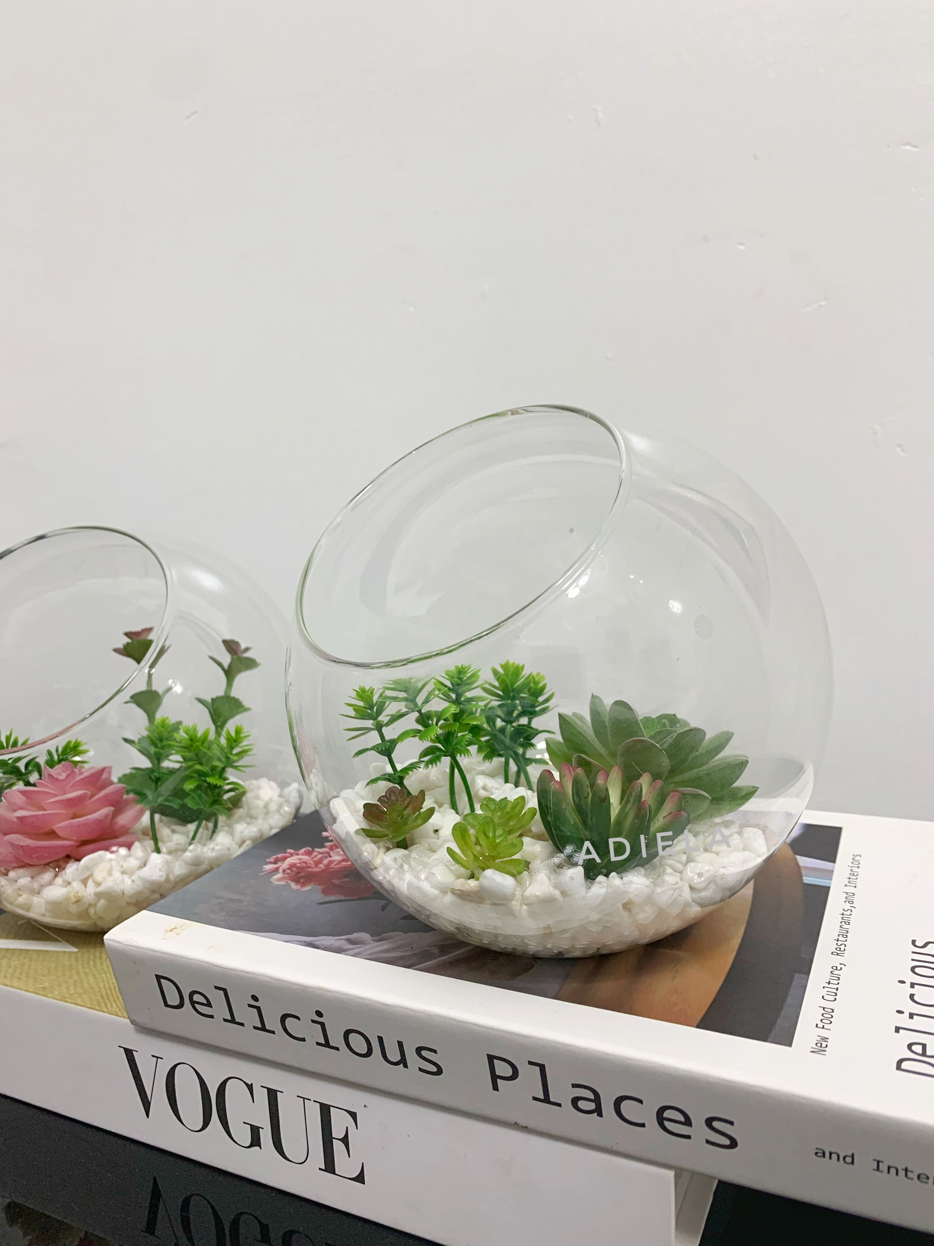 Decorative Fish Bowl with Succulents Image
