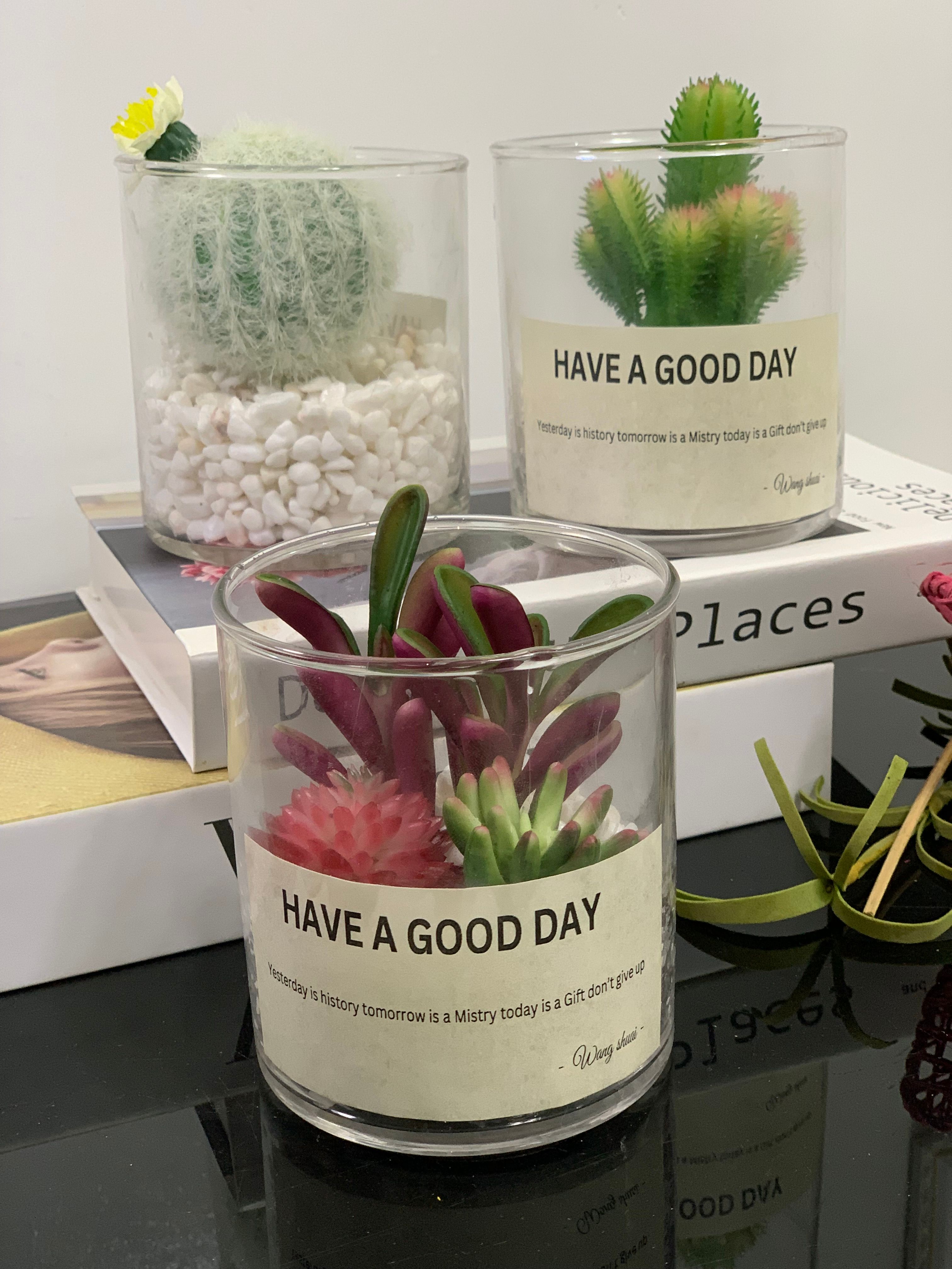 Faux Succulents in Glass Jar Image
