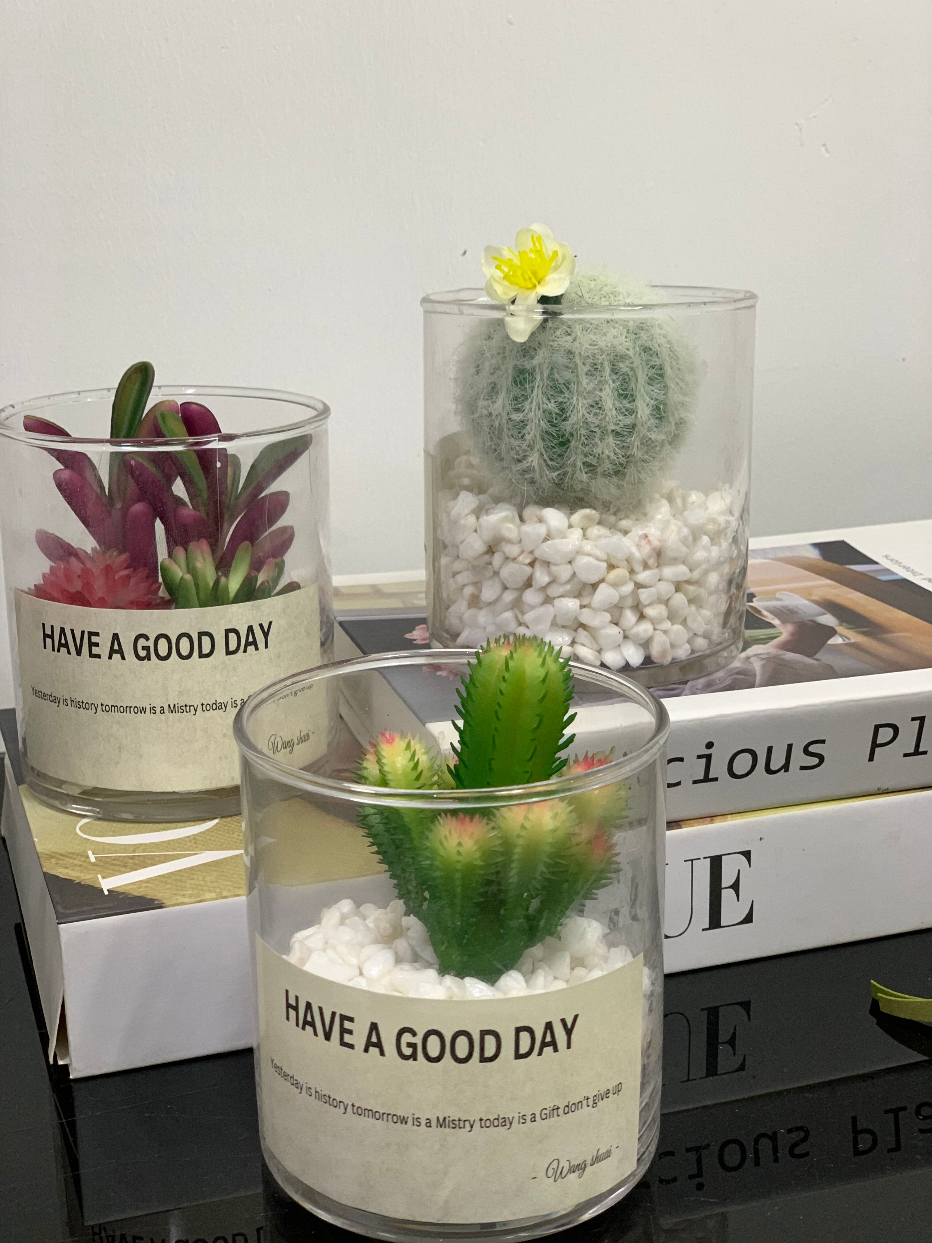 Faux Succulents in Glass Jar Image