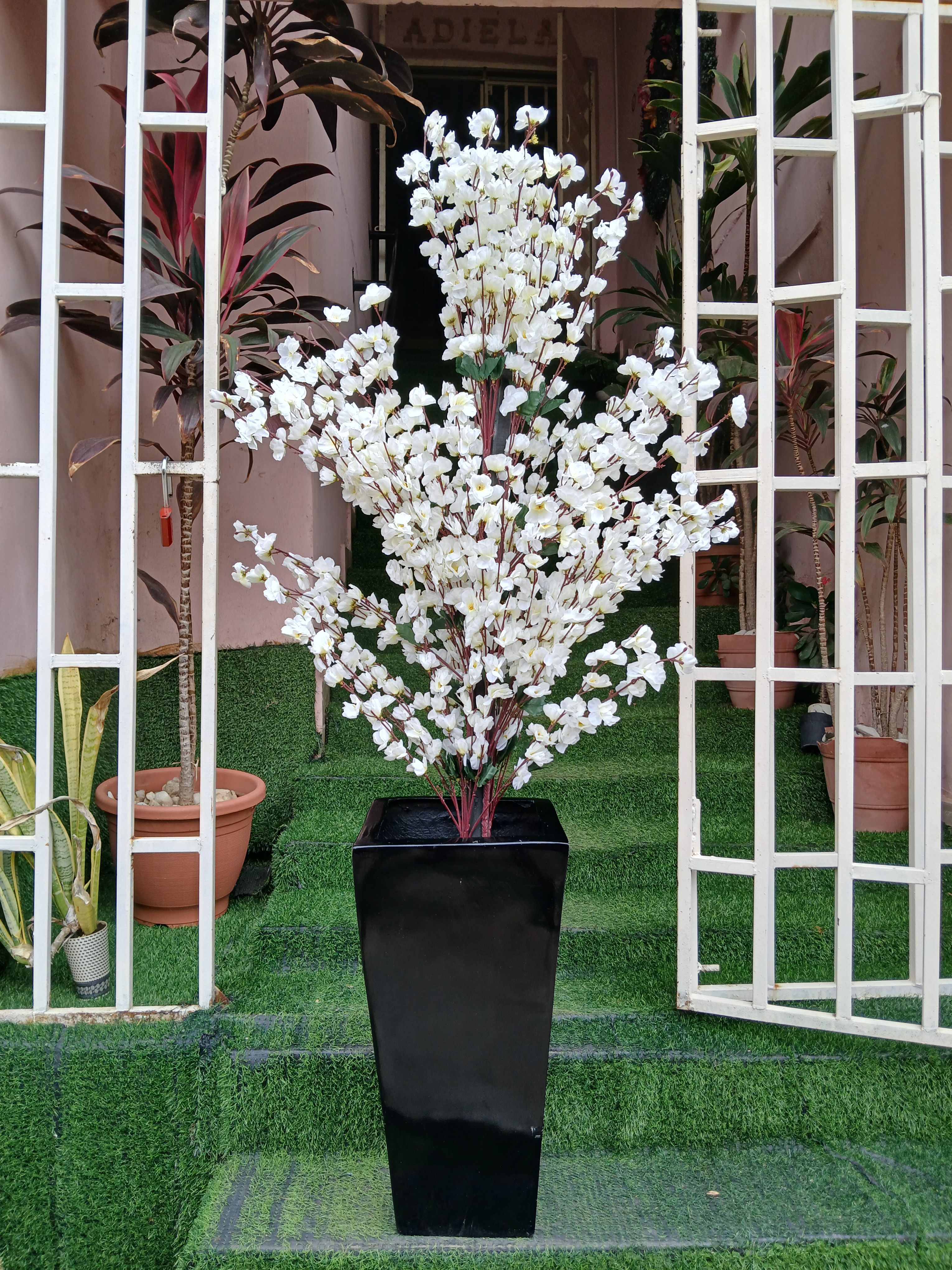 Cherry Blossom Tree in Fibre Planter Image
