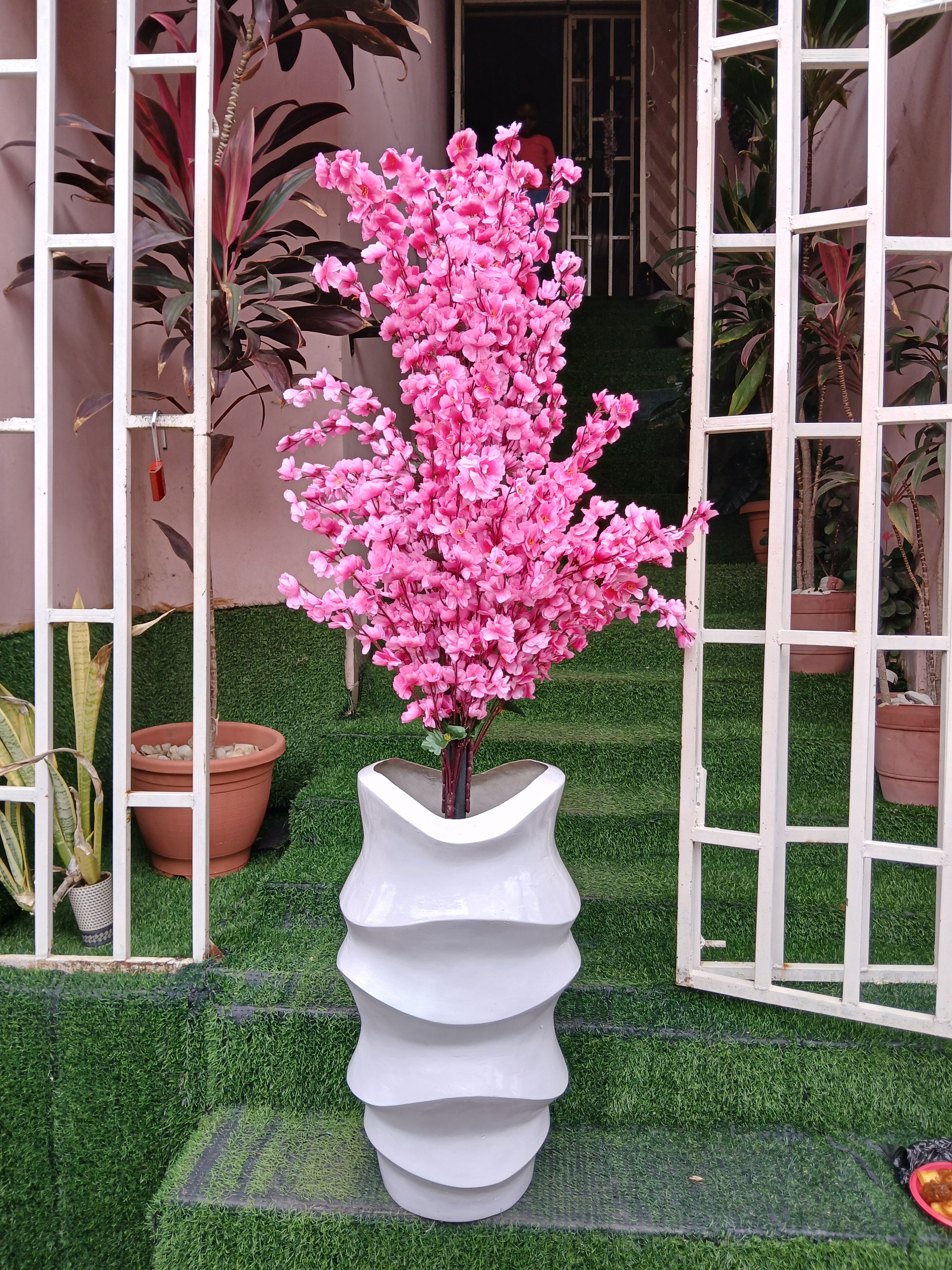 Cherry Blossom Tree in Fibre Planter Image