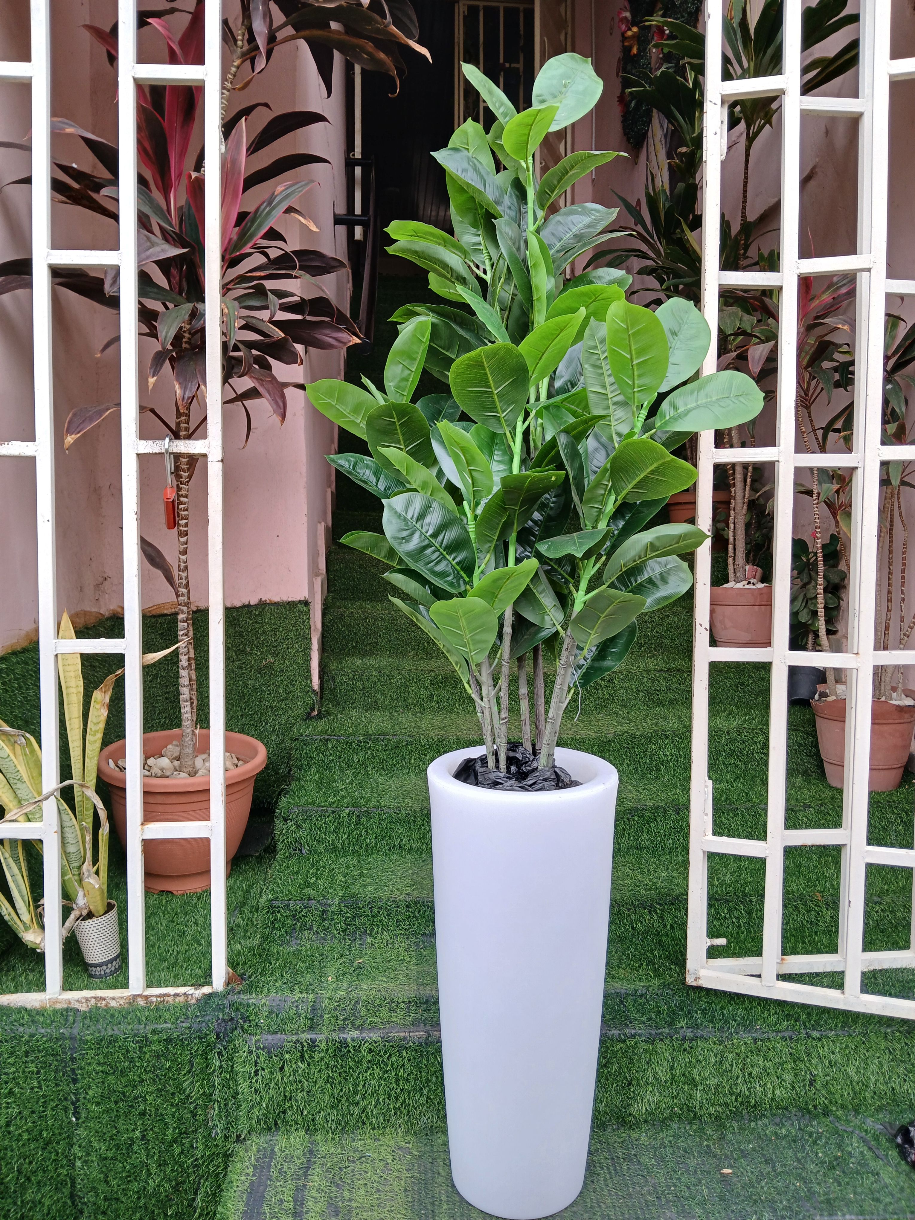 Artificial Fiddle Tree In Plantic Planter Image
