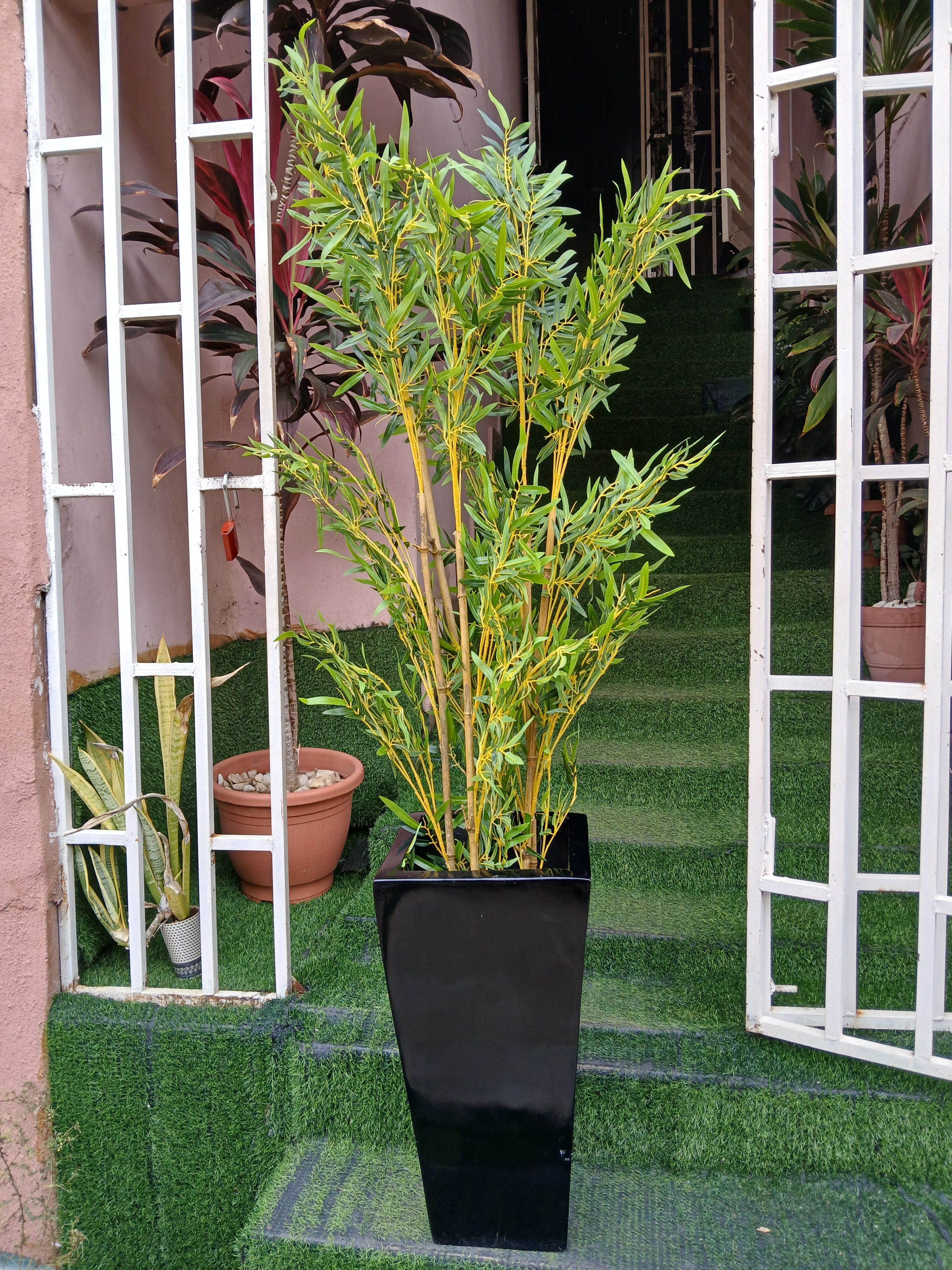 5 PCS Yellow Bamboo Stalk In Fibre Planter Image