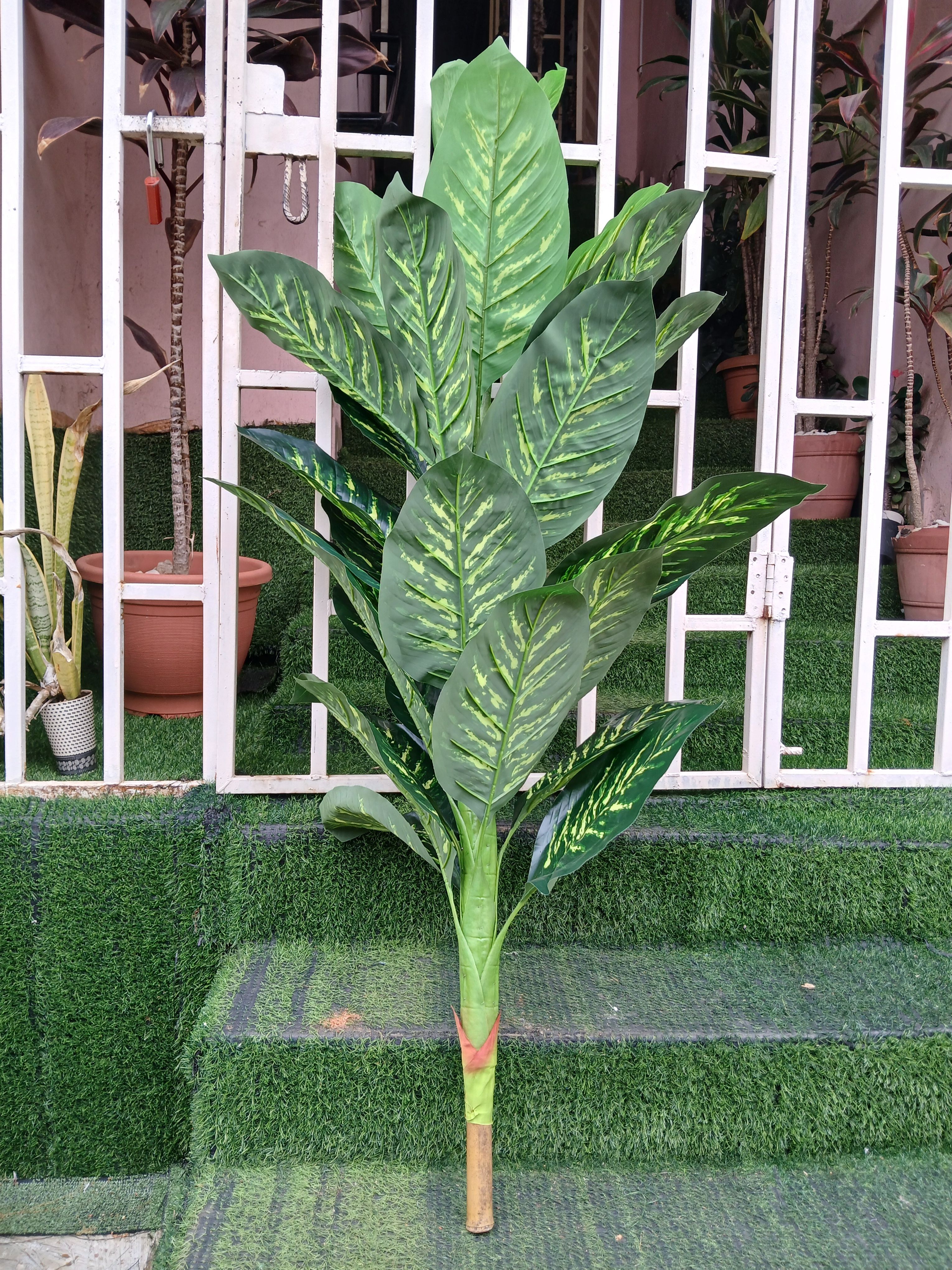 Large Leaves Tree Image