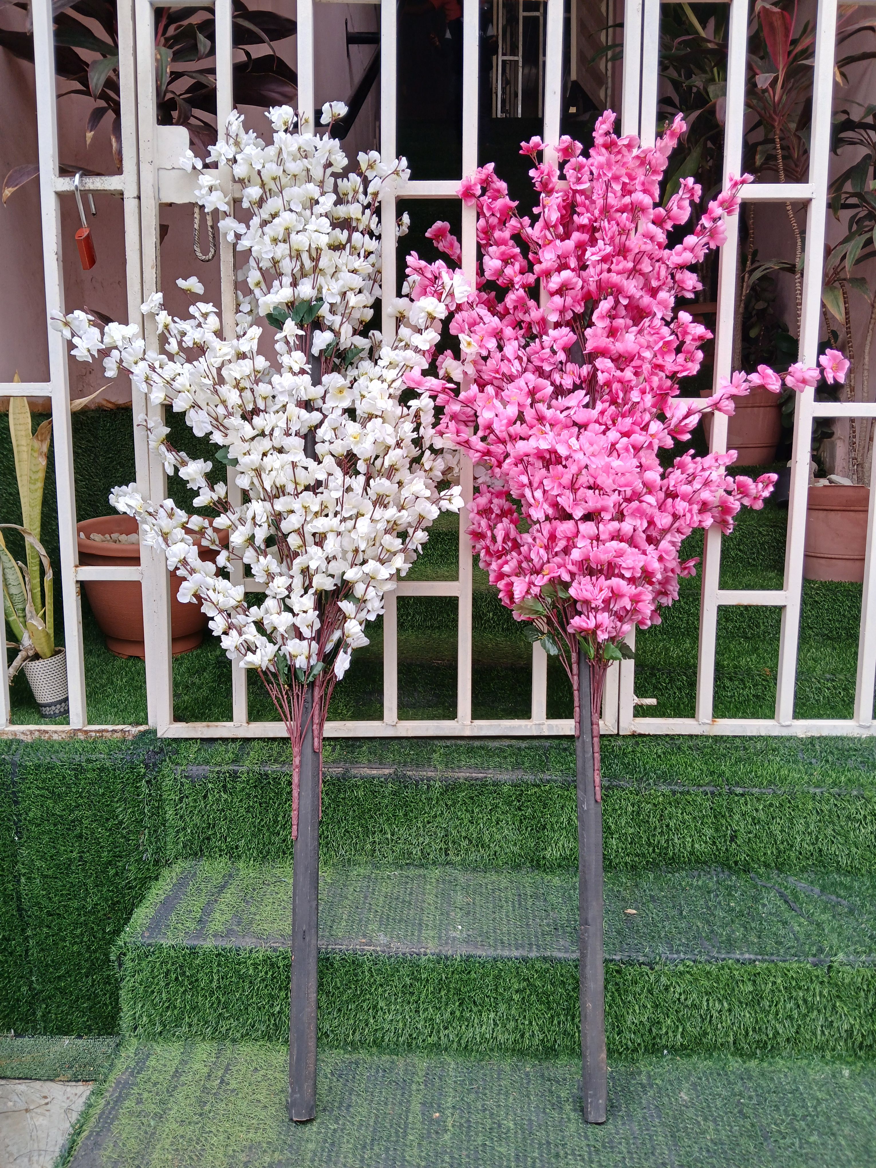 Cherry Blossom Tree Image