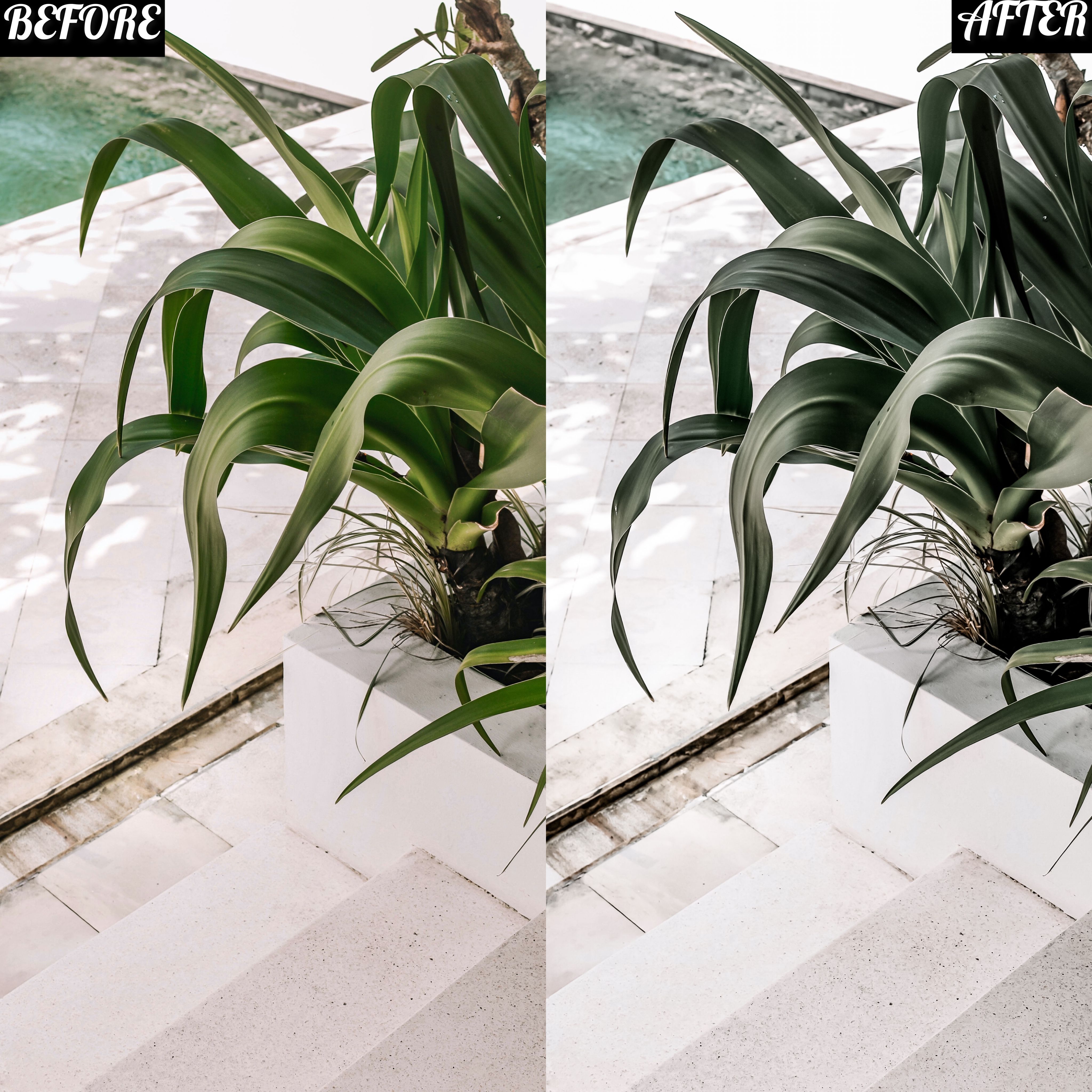 LAYLA NASE WHITE BLISS PRESET Image