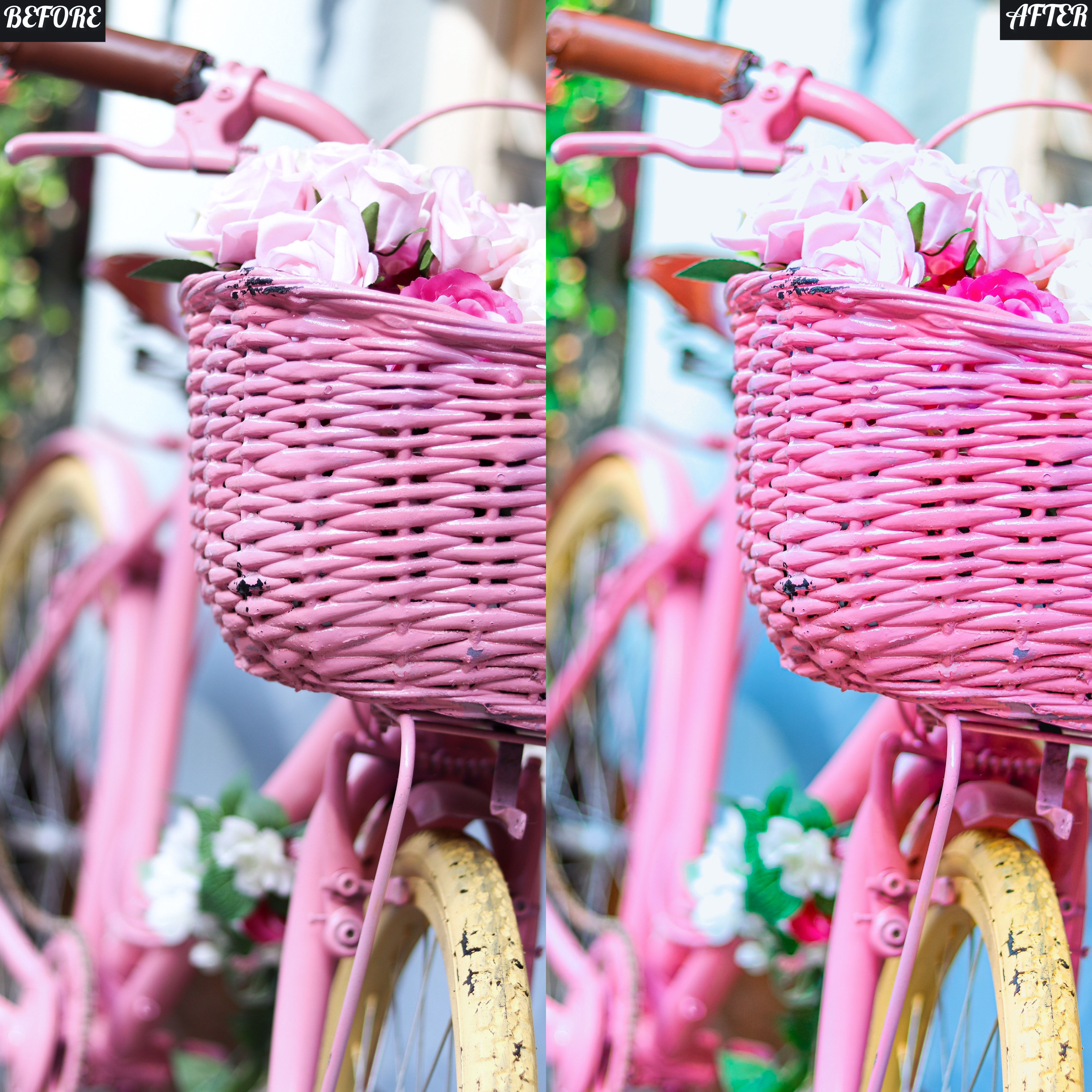 LAYLA NASE INFLUENCER PRESET (PICTURE PERFECT) Image