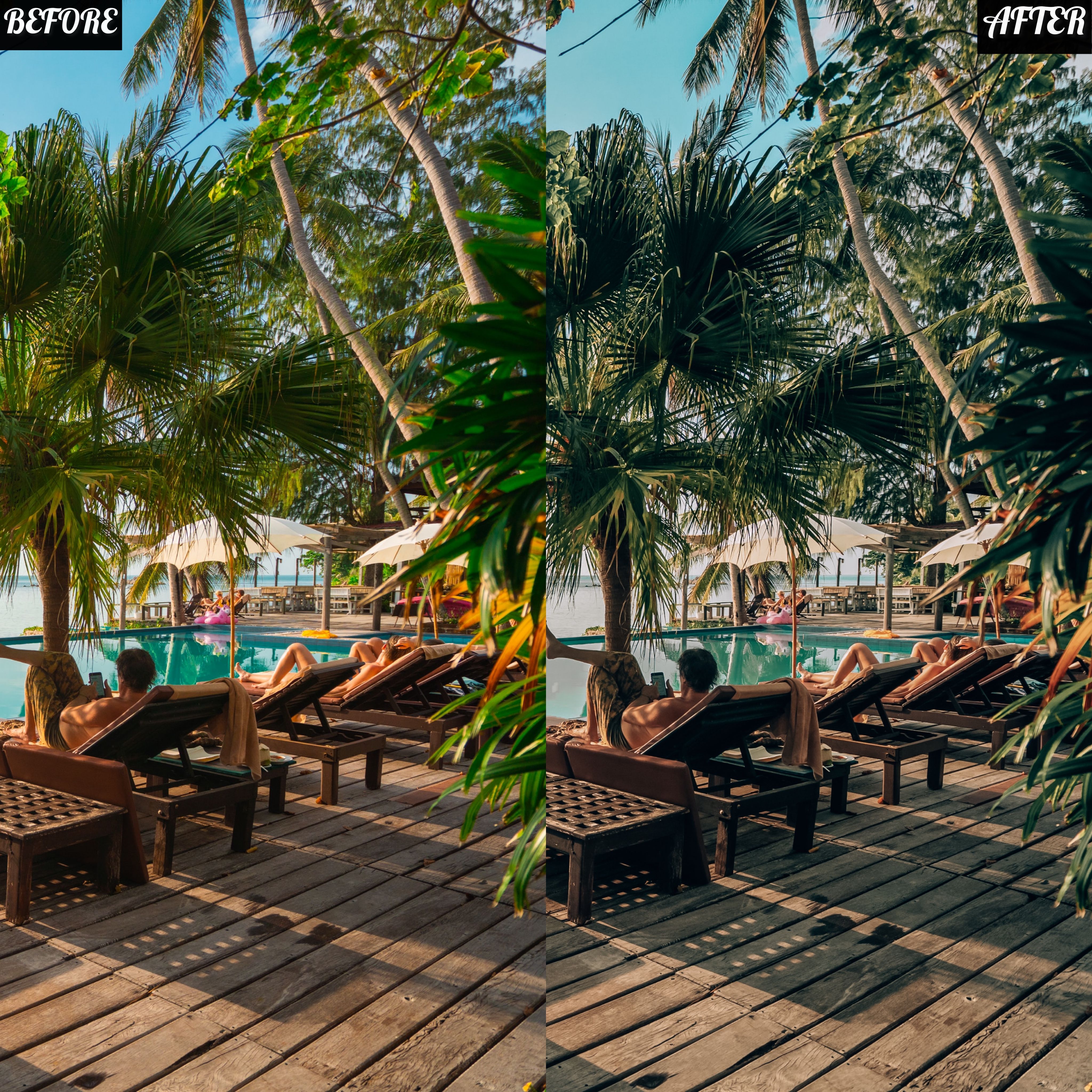 LAYLA NASE FOREST PRESET Image