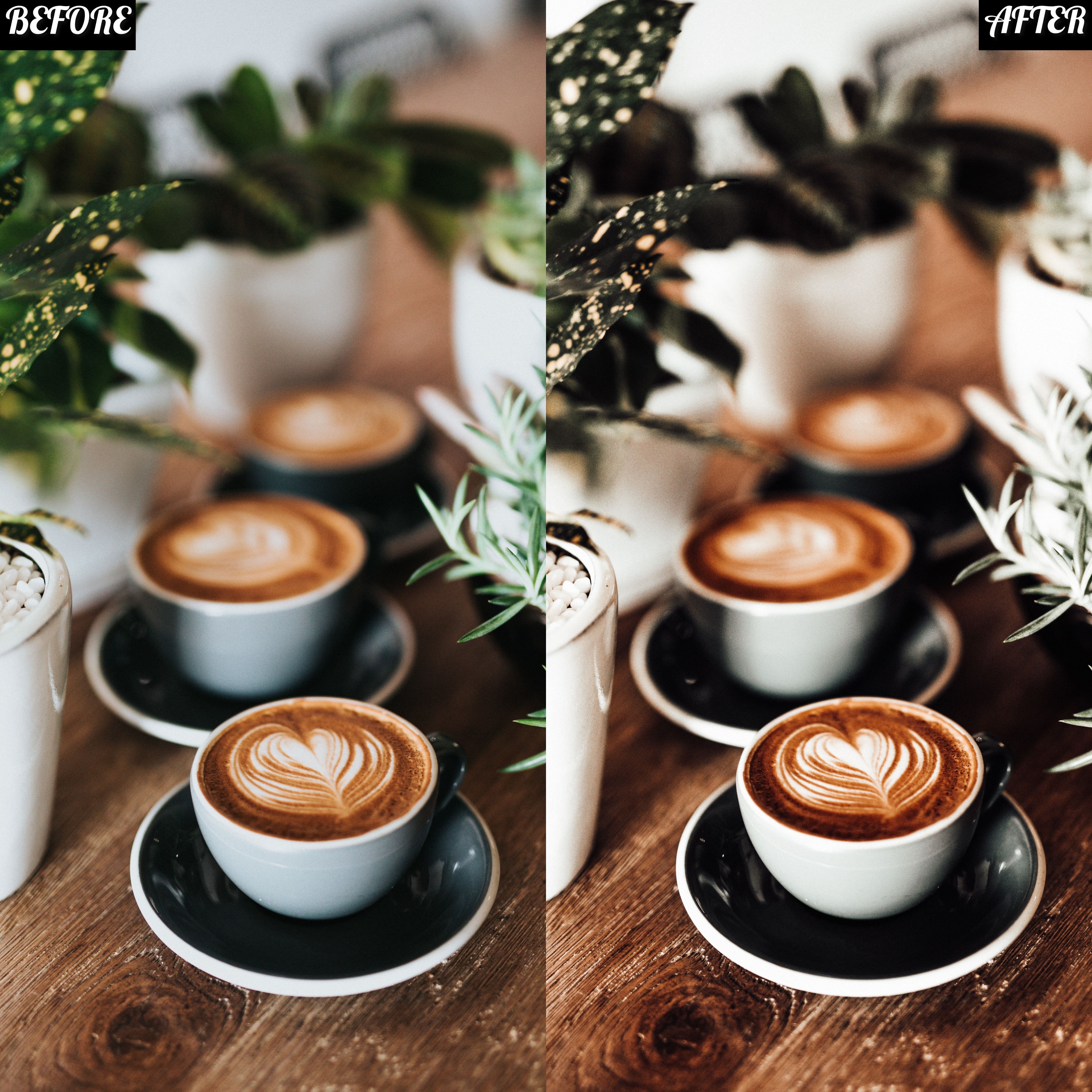LAYLA NASE MINIMAL BROWN PRESET Image