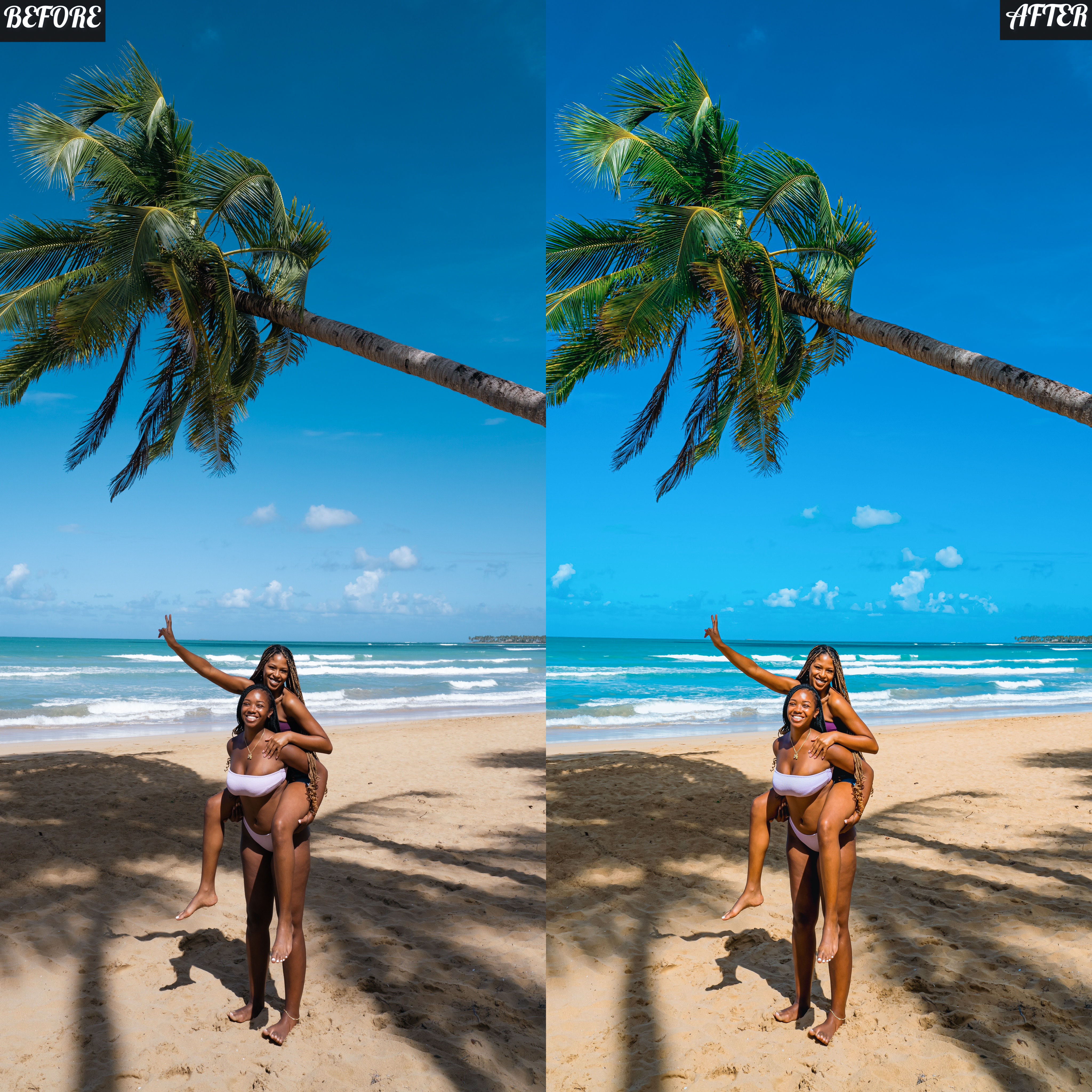 LAYLA NASE INFLUENCER PRESET (PICTURE PERFECT) Image