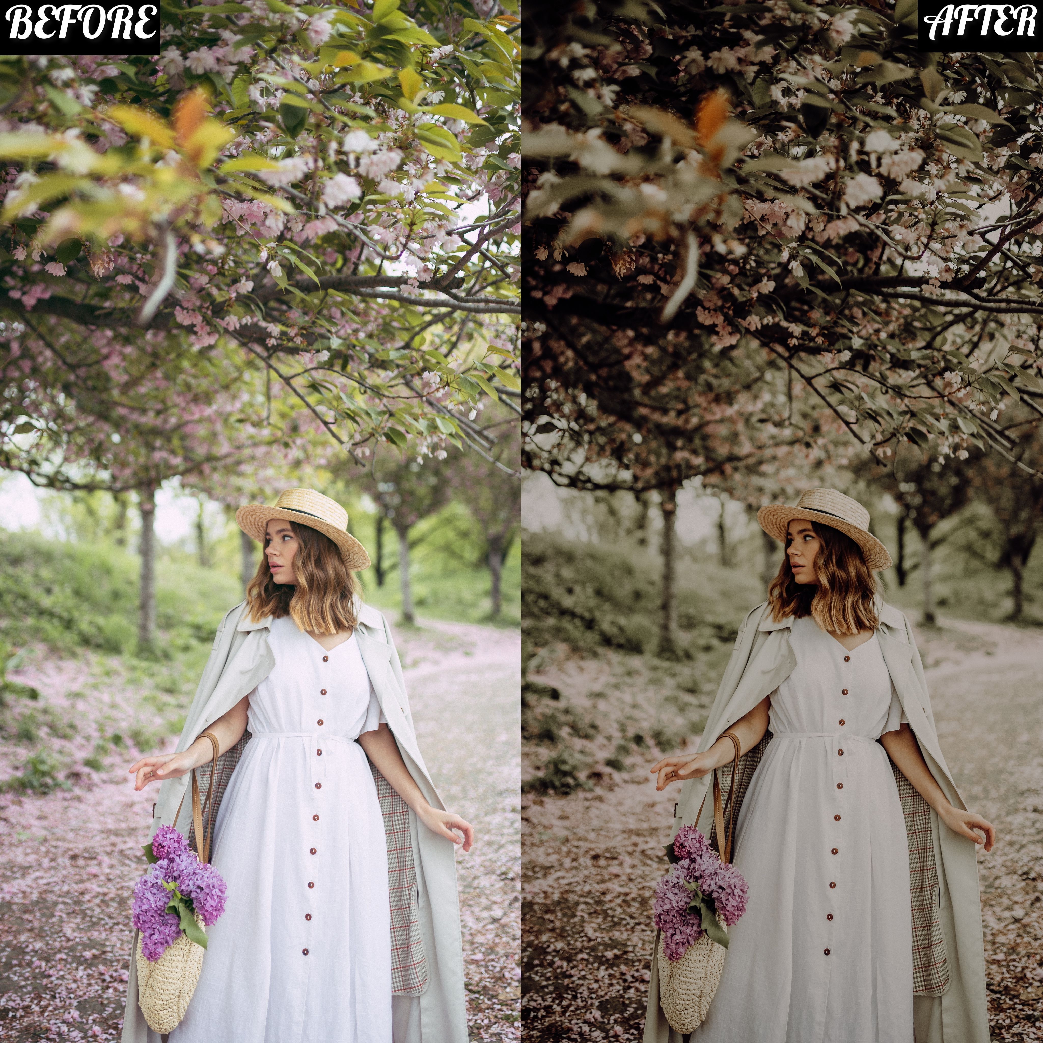 LAYLA NASE EARTH PRESET Image