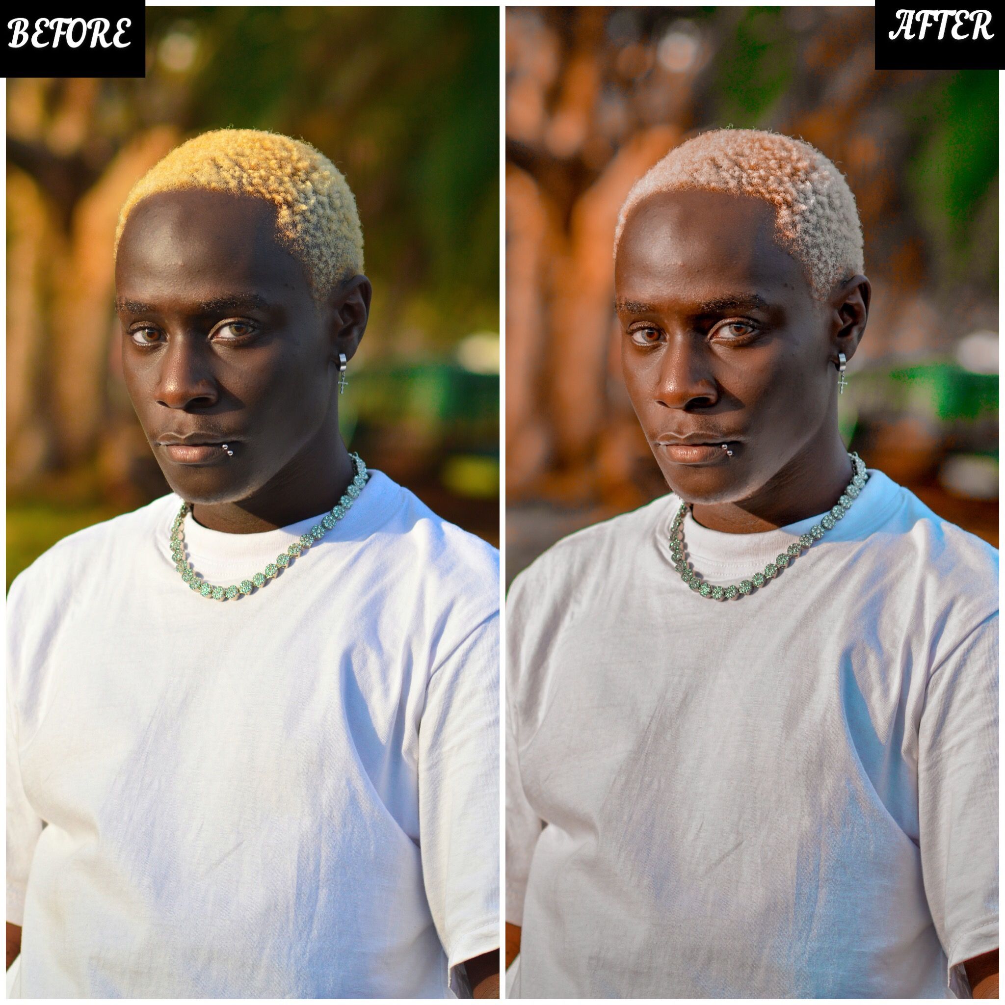 SOFT BROWN PRESET Image