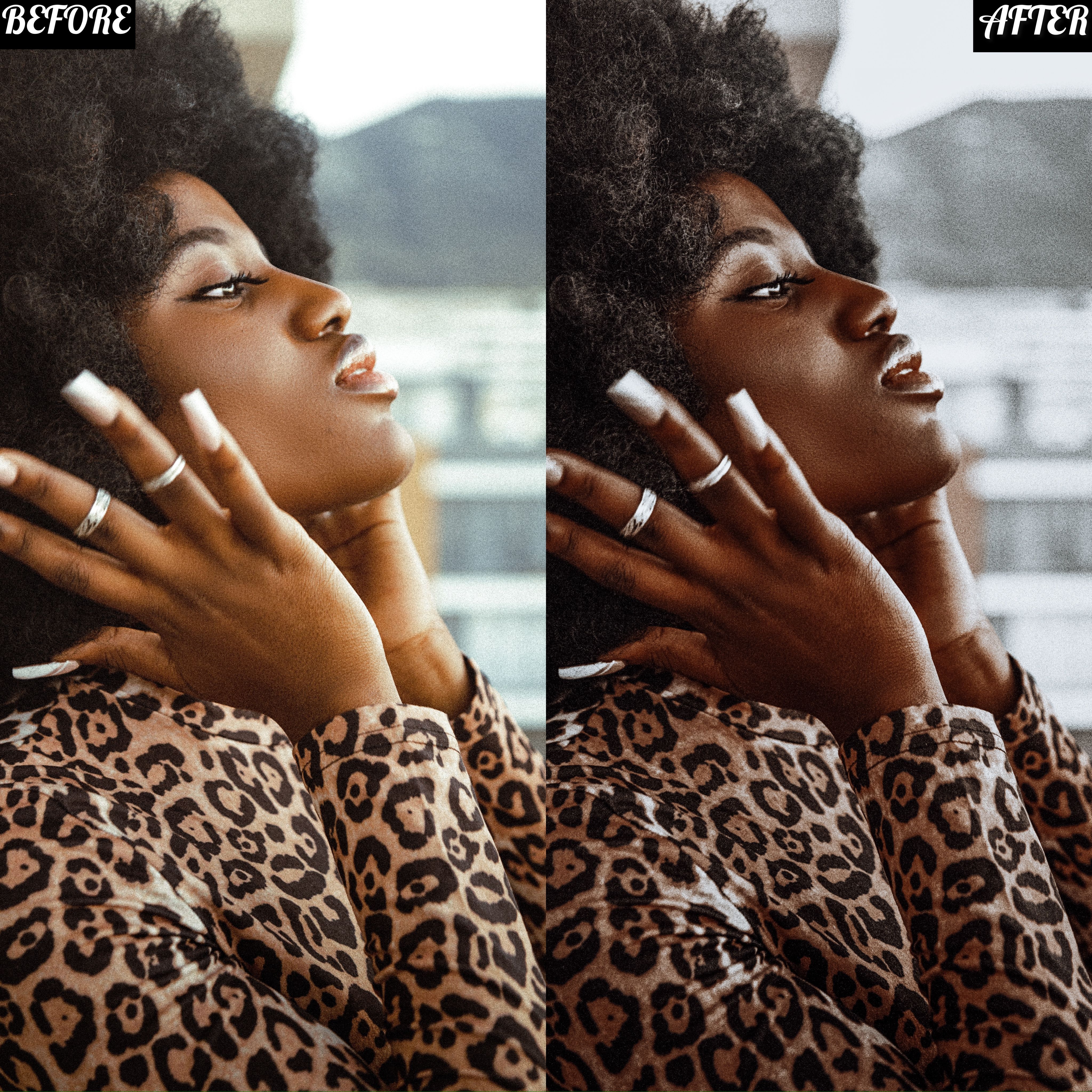 LAYLA NASE EBONY PRESET Image