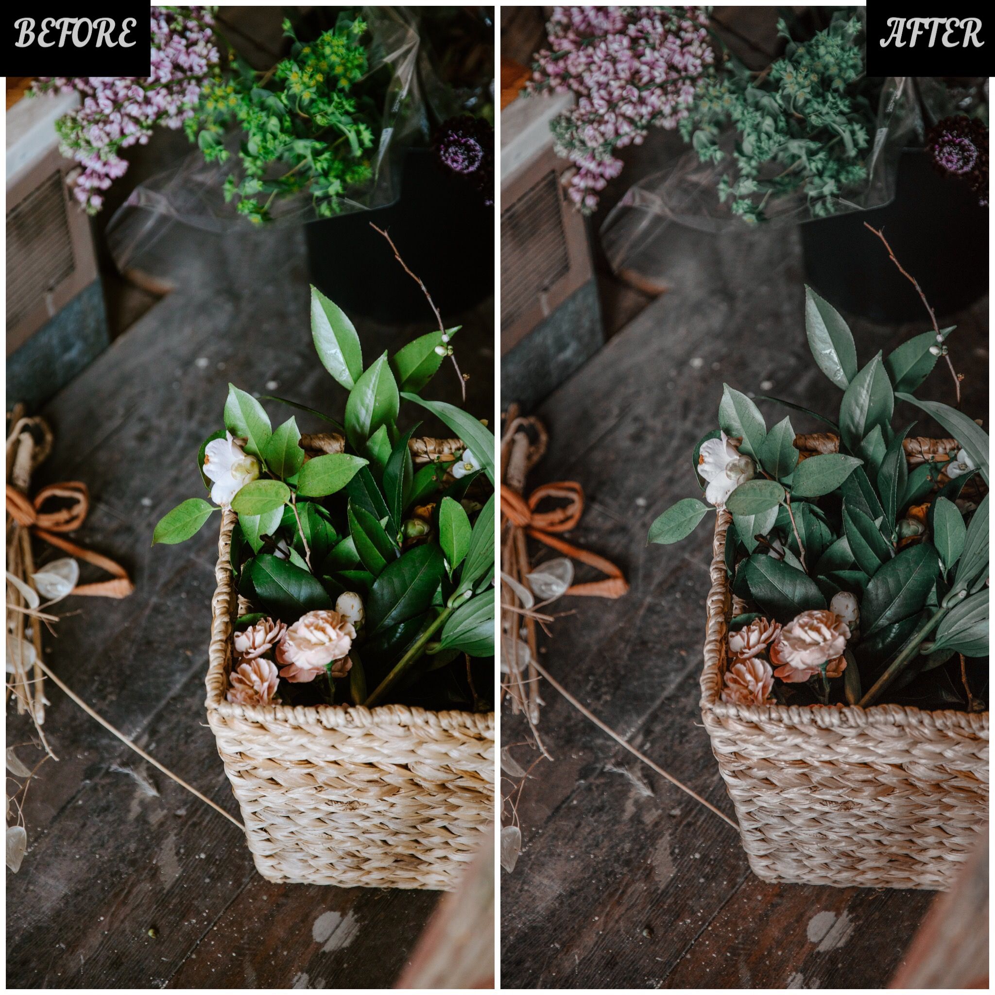 LAYLA NASE SUMMER VIBES PRESET Image